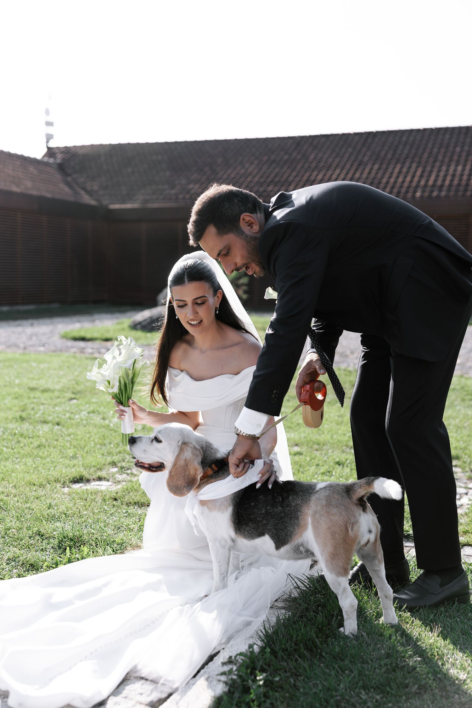 A couple in wedding attire sits on grass with their beagle dog during an outdoor celebration.