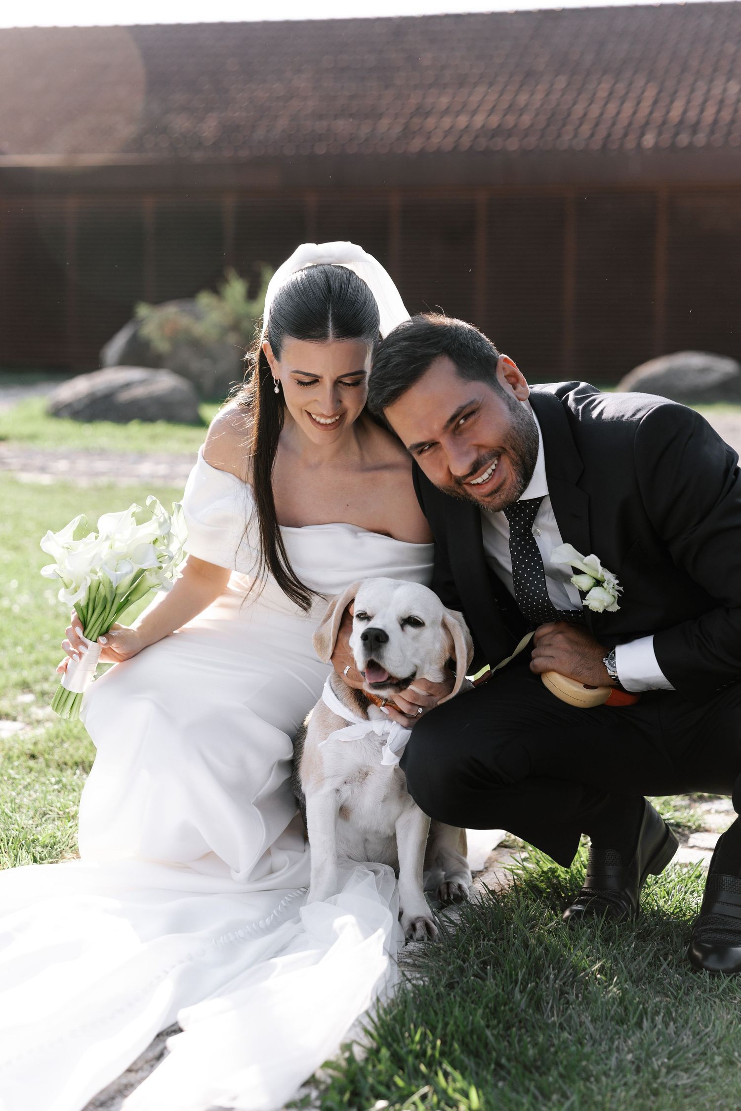A happy couple in wedding attire poses with their white Labrador dog on grassy lawn during outdoor wedding photoshoot.