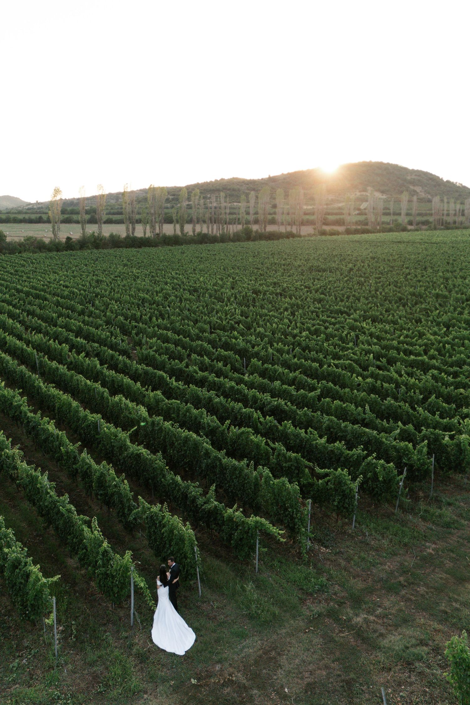 Scenic vineyard rows stretch across rolling hills at sunset with a person in white standing among the grapevines.
