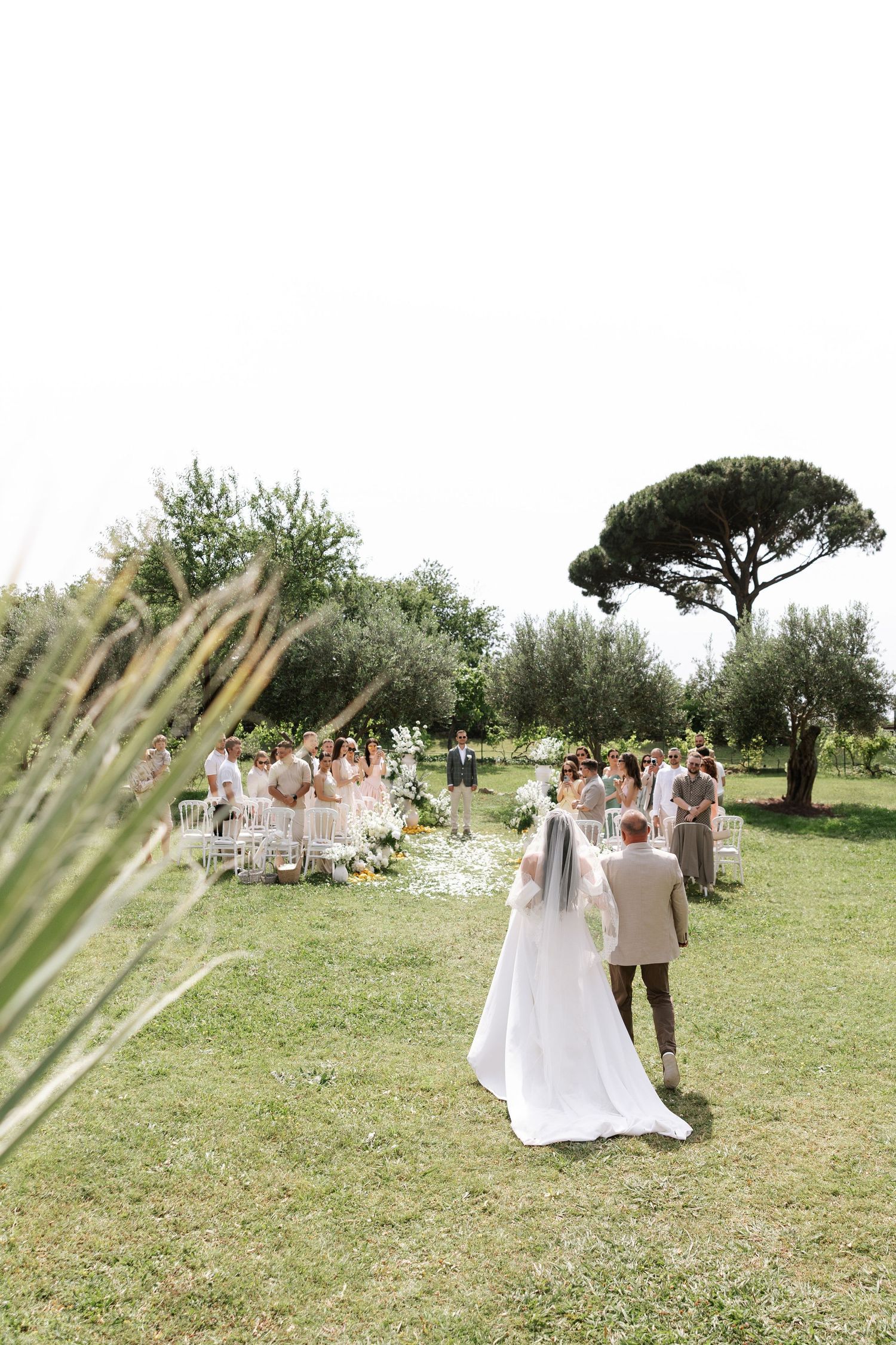 Elegant outdoor wedding ceremony in a rustic olive grove with guests gathered on a sunny day.