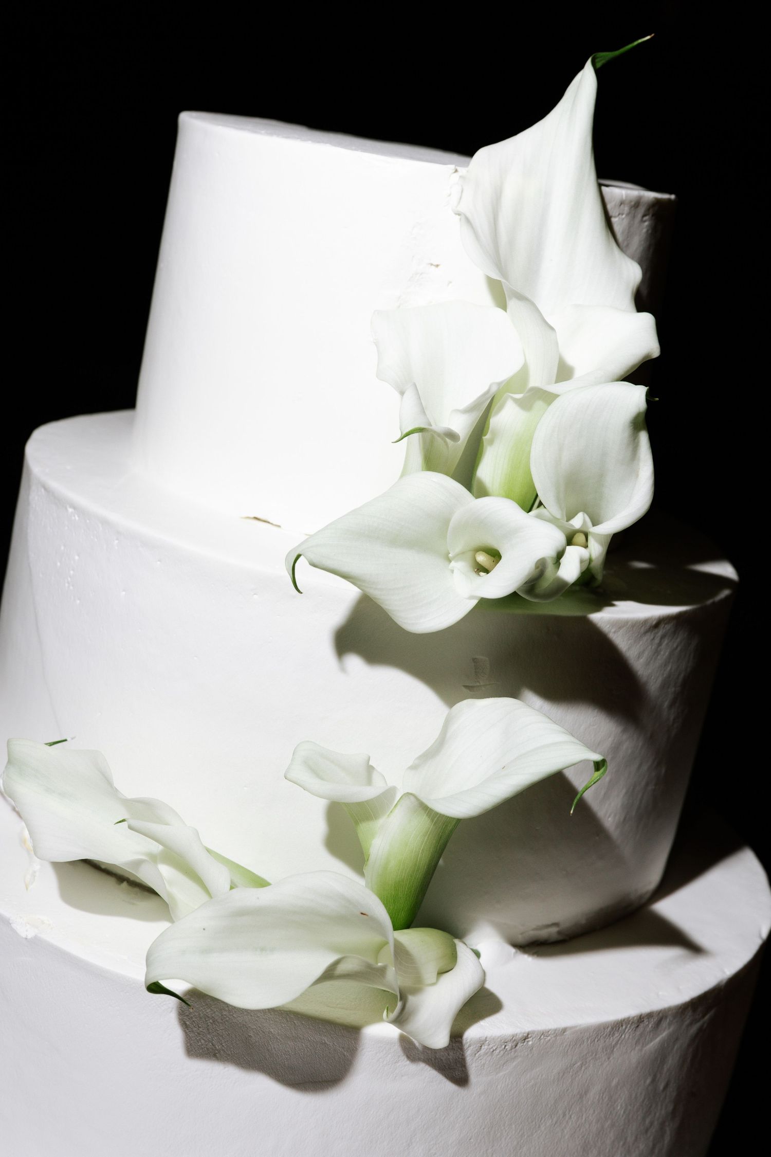 White petals of a flower create dramatic shadows and highlights against a black background in an artistic macro shot.