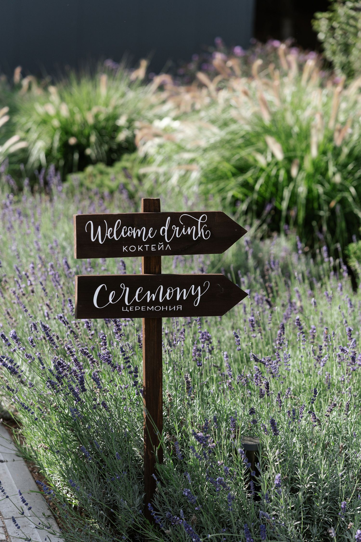 Rustic wooden directional signs with white calligraphy text point the way through a blooming lavender garden.