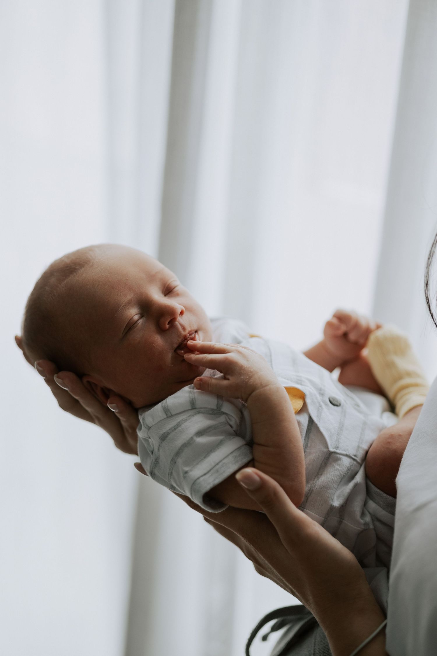 A gentle portrait of a newborn baby being cradled in soft window light.