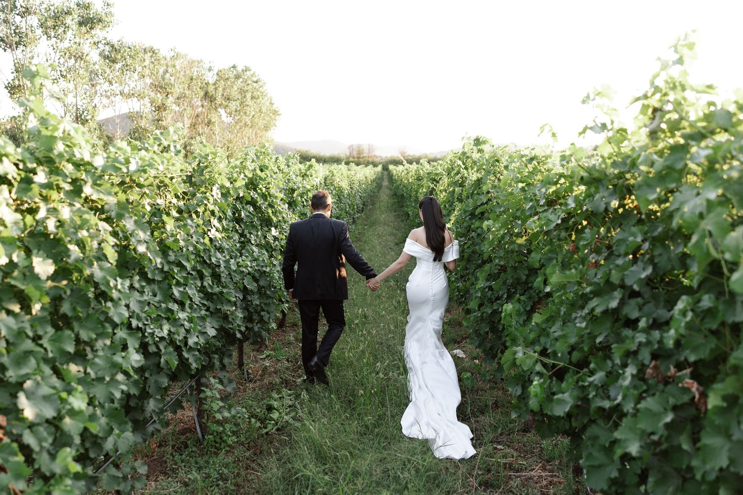 A bride in a white wedding dress poses between rows of grapevines in a scenic vineyard setting.