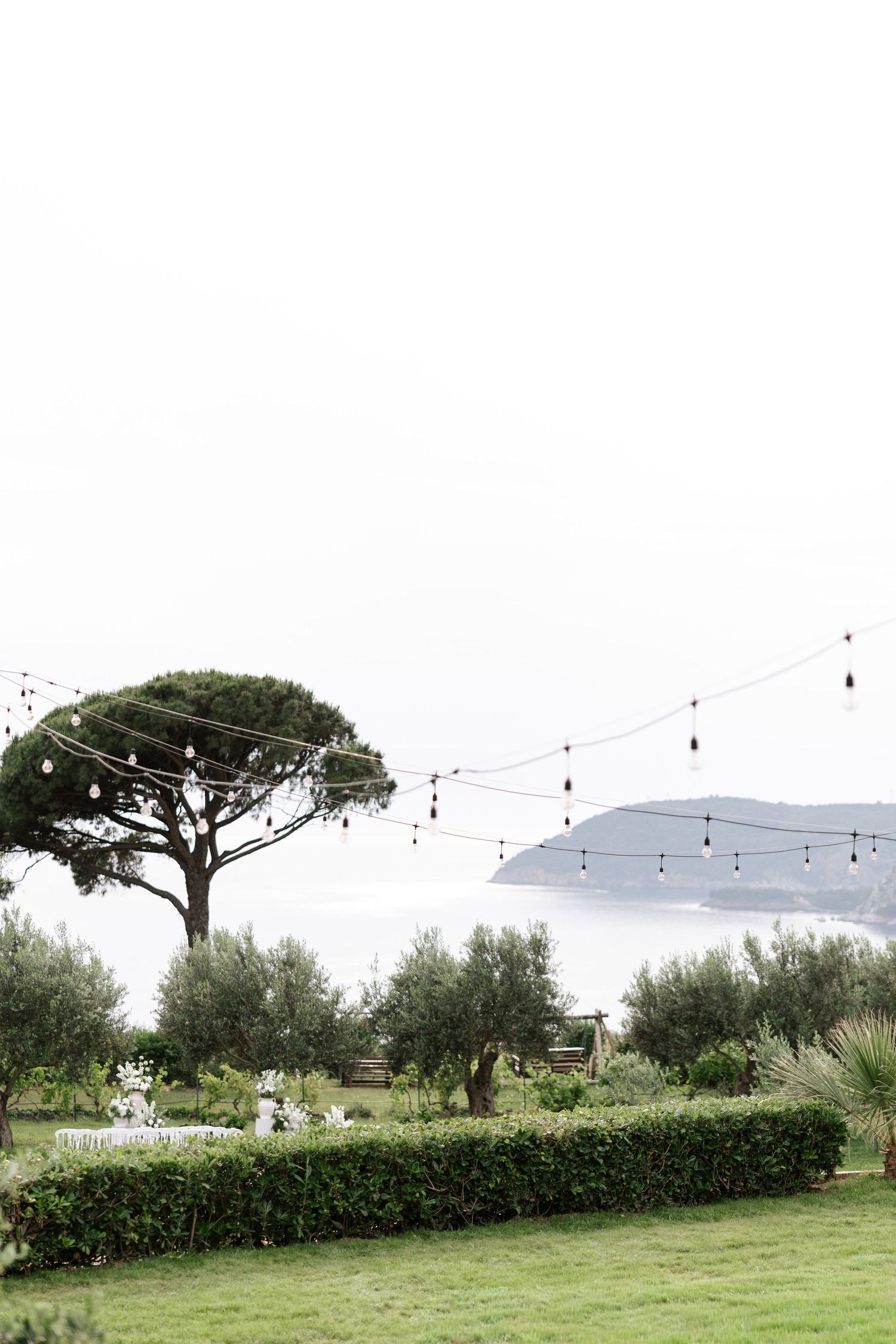 Outdoor garden venue with string lights hung between posts and umbrella pine trees creating an elegant atmosphere.