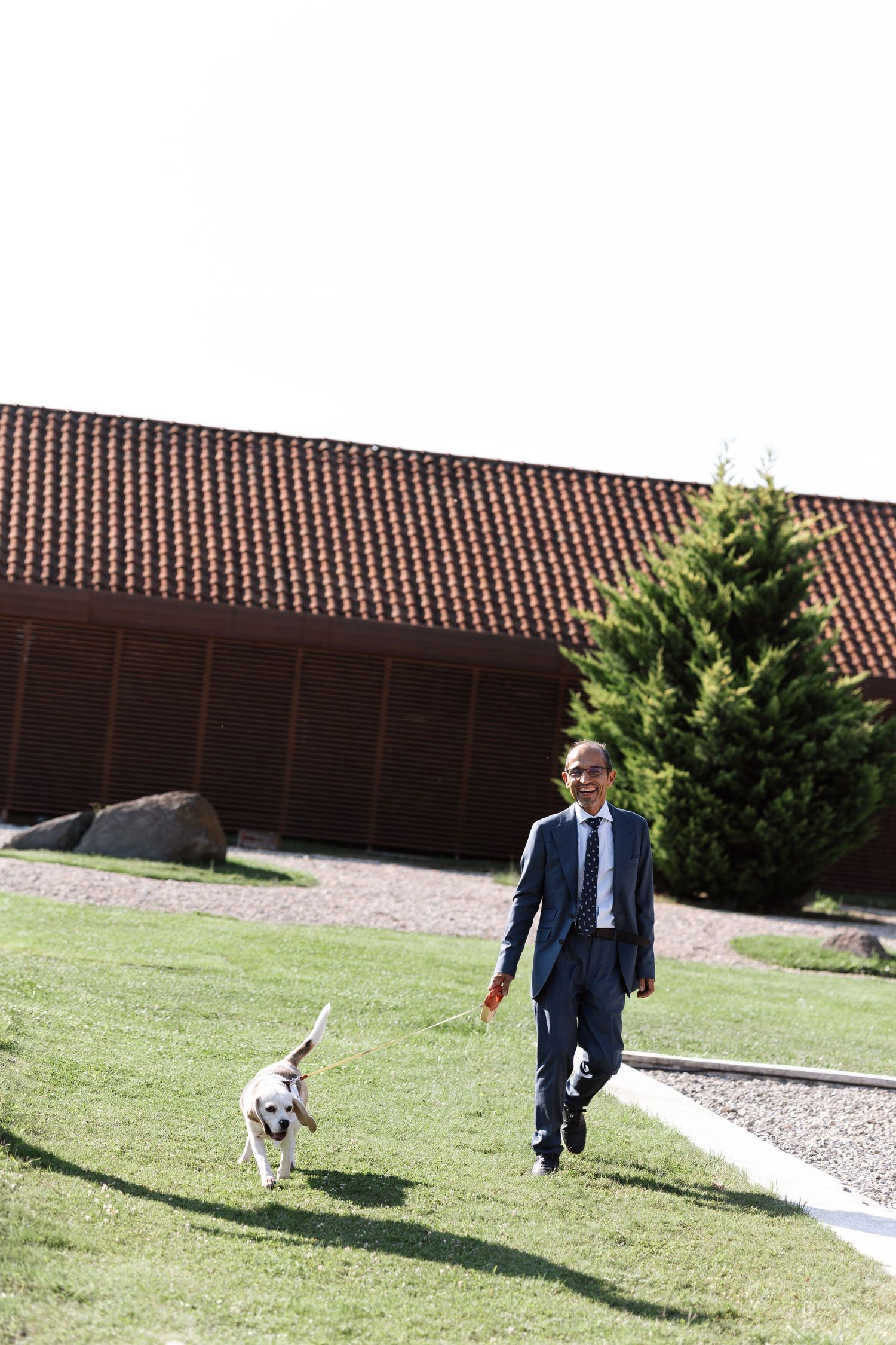 A person in a suit walks across a grassy lawn with a happy golden retriever dog running alongside them.