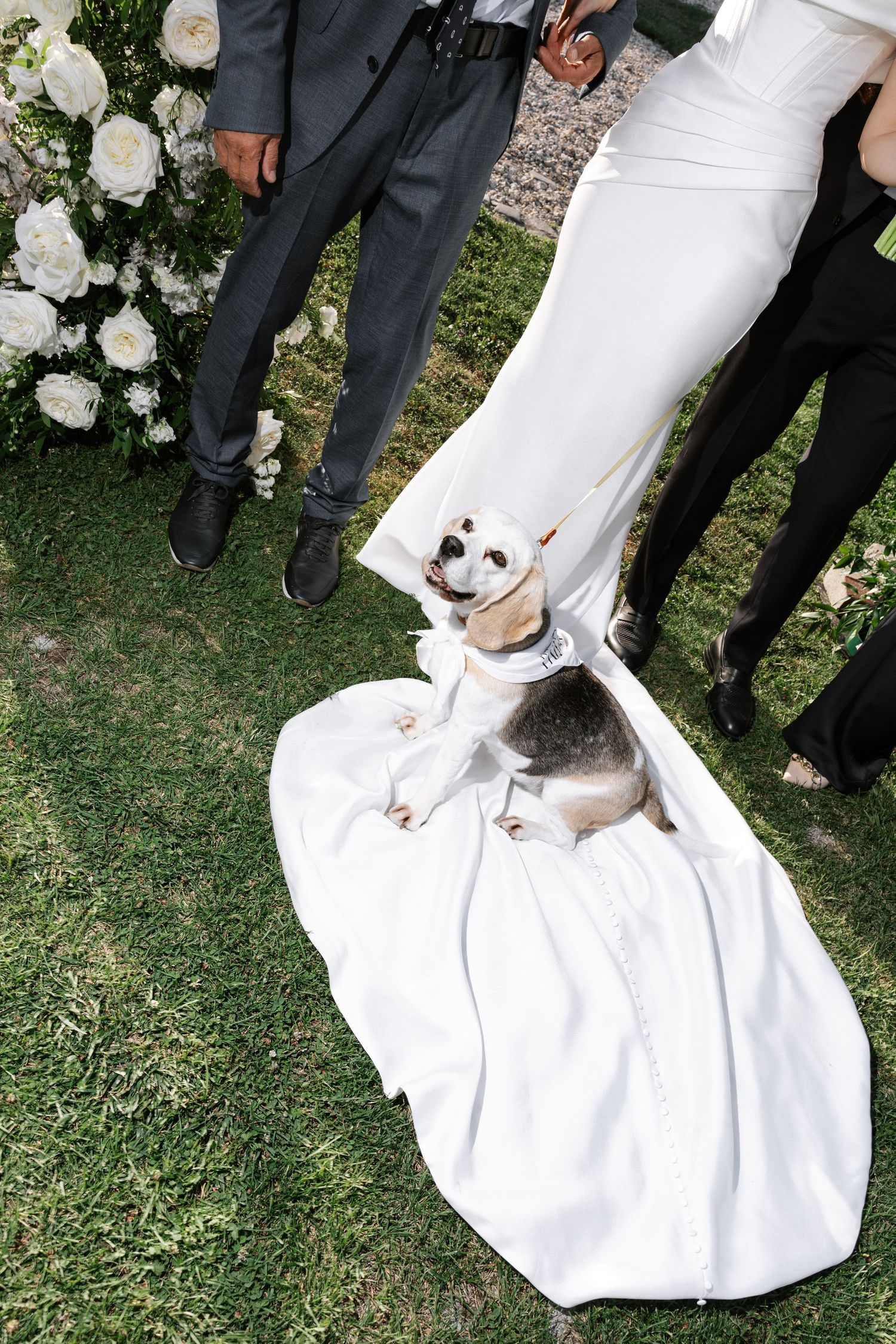 A sequence of photos showing muddy footprints on the hem of a white wedding dress against green grass.