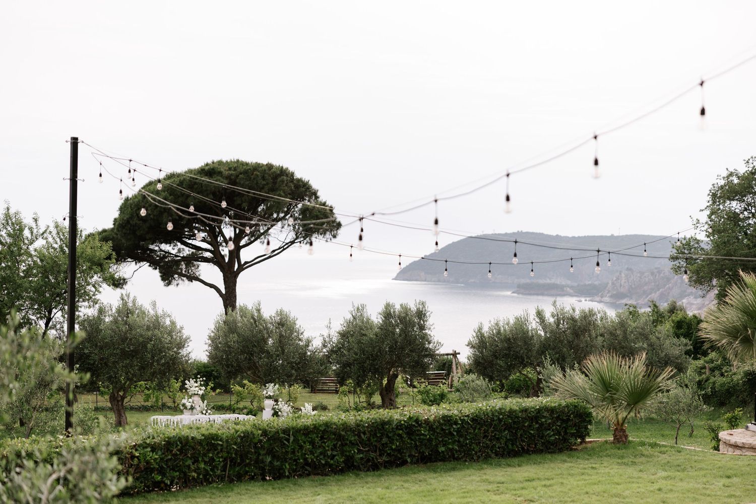 Scenic Mediterranean garden with string lights, olive trees and umbrella pine overlooking coastal waters in the distance.