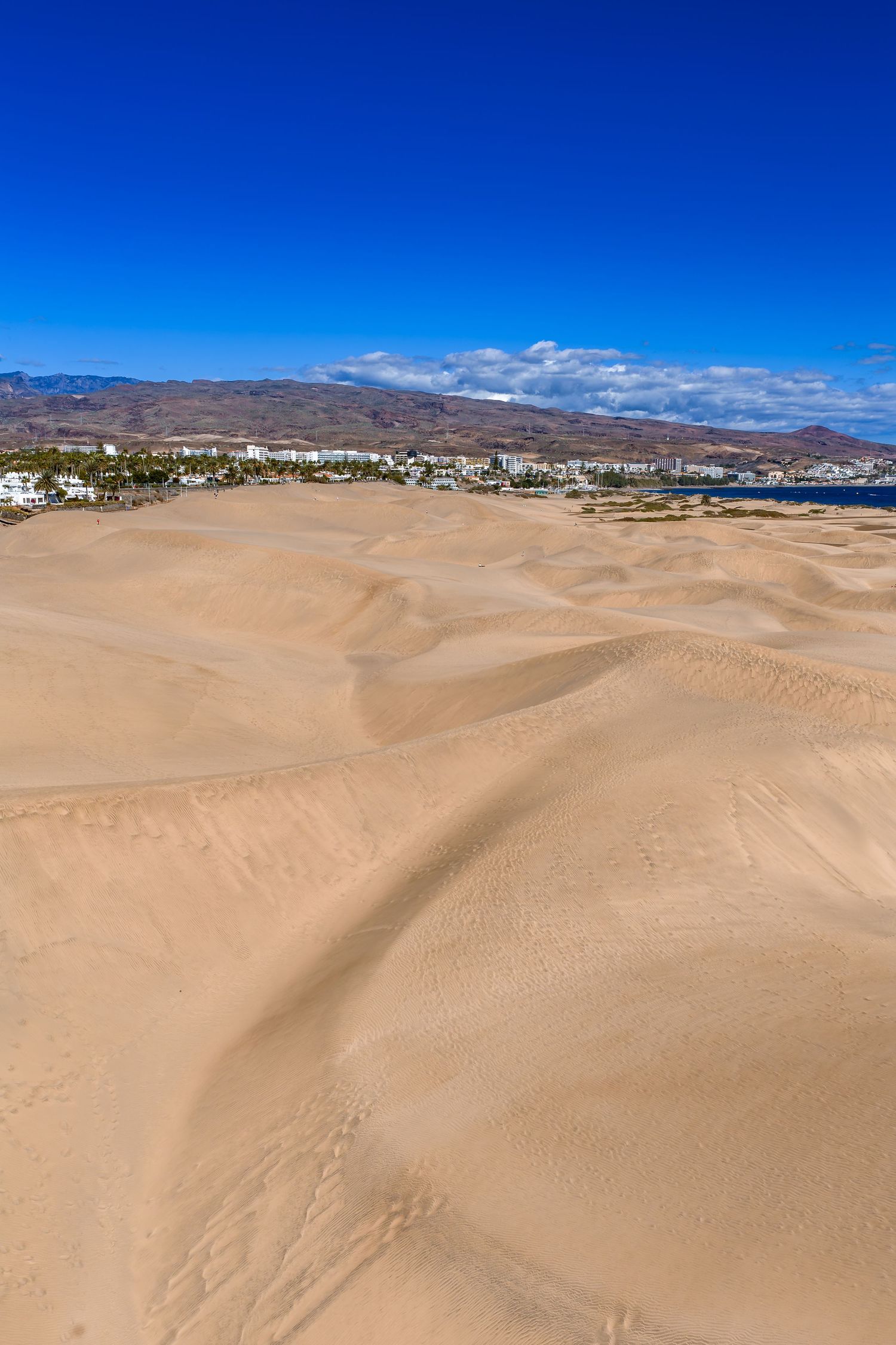 Vast desert sand dunes stretch towards a mountain range under bright blue skies with a town visible in the distance.