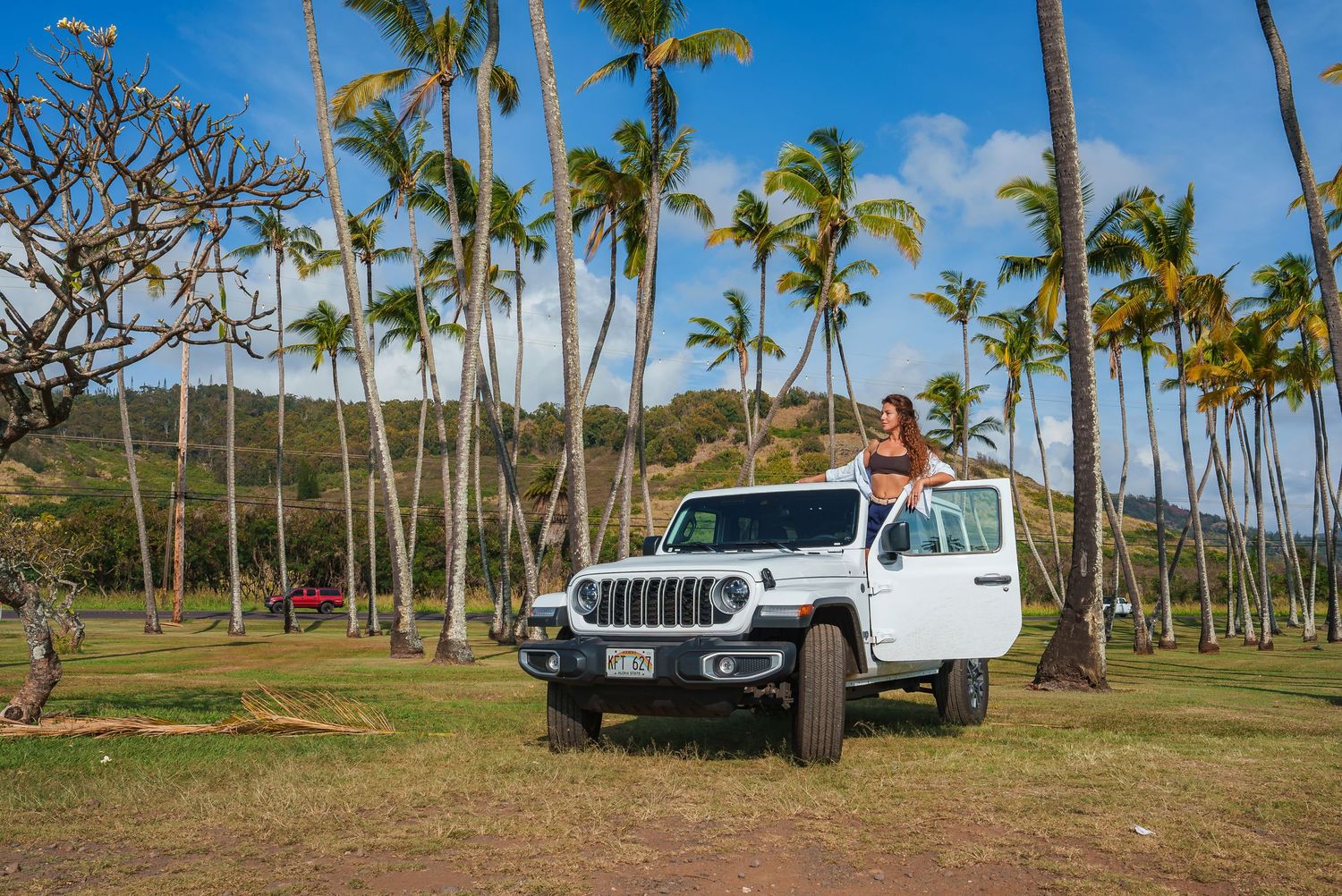 Row of palm trees along a coastal road with white vehicles parked nearby.