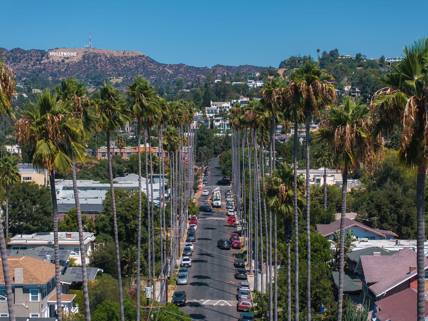 Palm tree-lined street in Los Angeles with Hollywood Hills visible in the background.