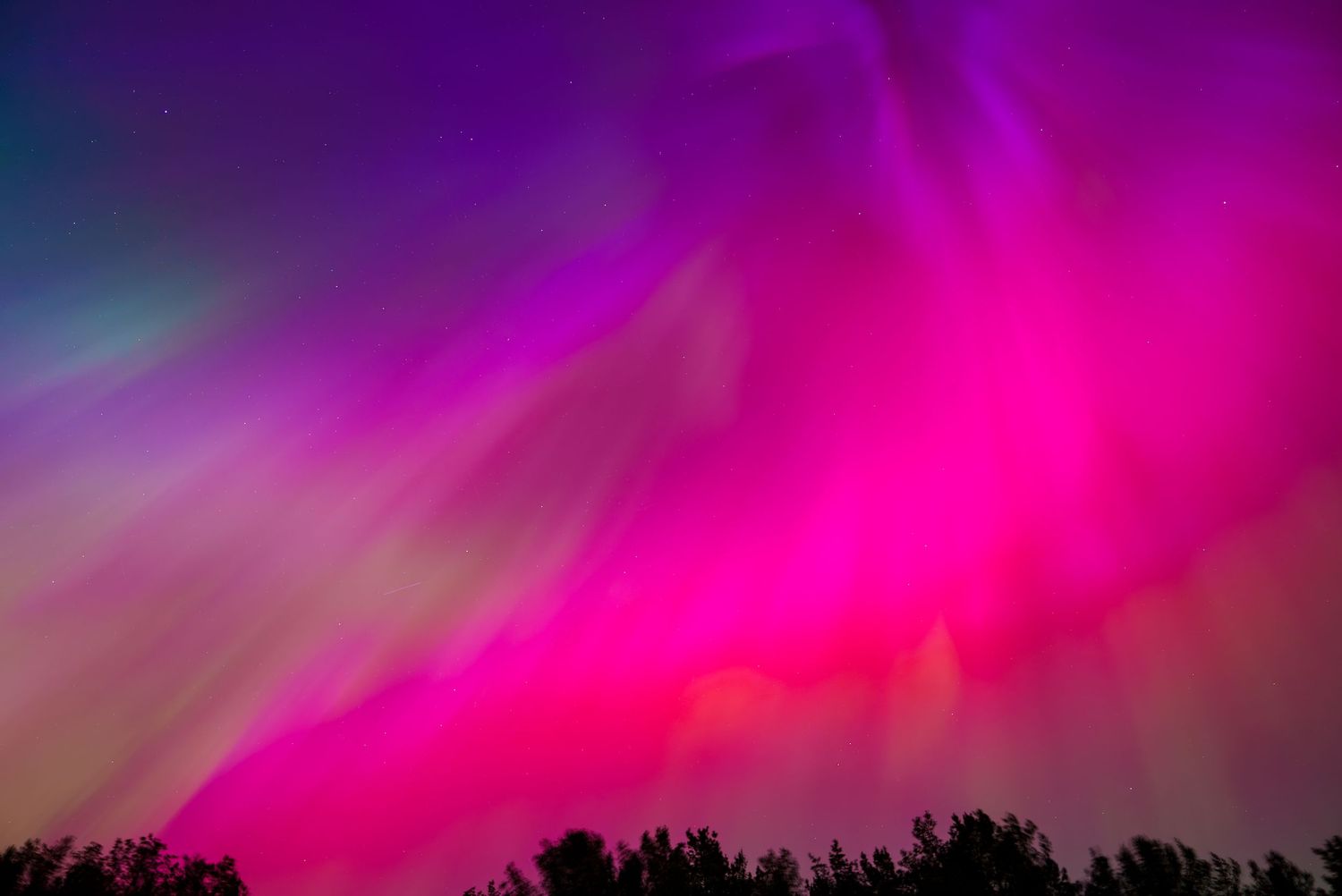 Vibrant pink and purple aurora lights illuminate the dark horizon in a stunning natural display.