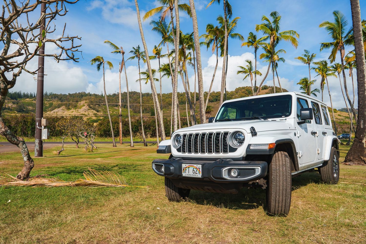 White Jeep parked on grass with palm trees and tropical landscape in background.