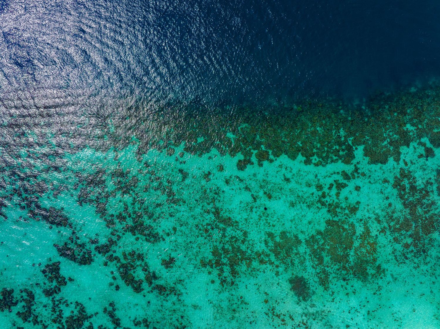 Aerial view showing the contrast between deep blue ocean water and turquoise coral reef patterns.