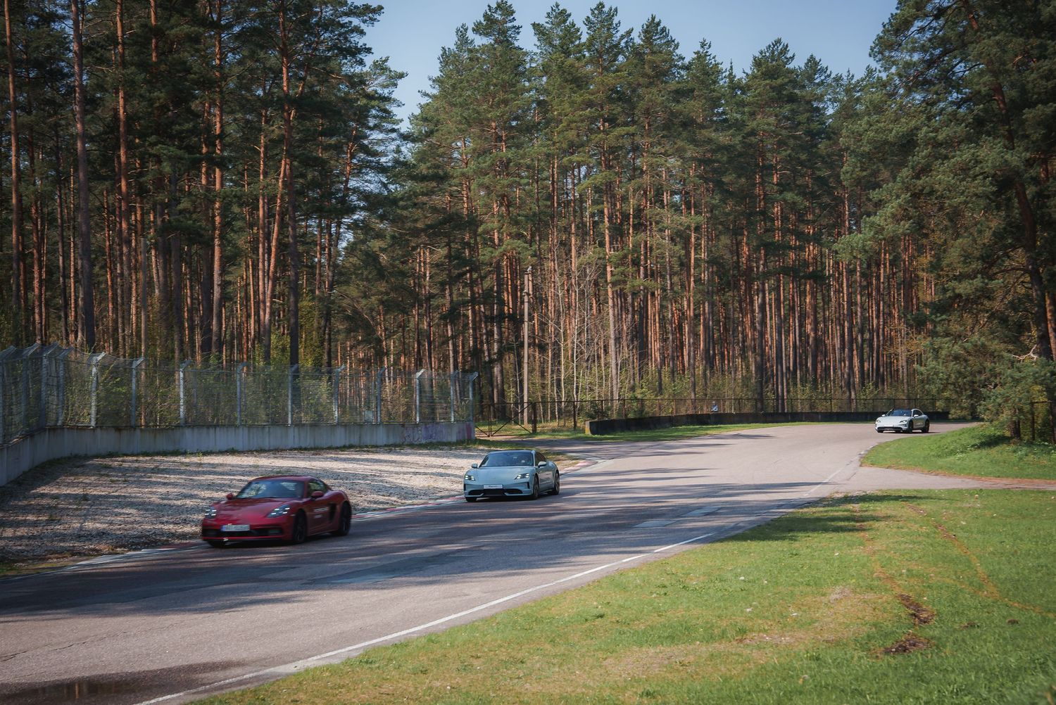 Red sports car parked on a winding forest road surrounded by tall pine trees.