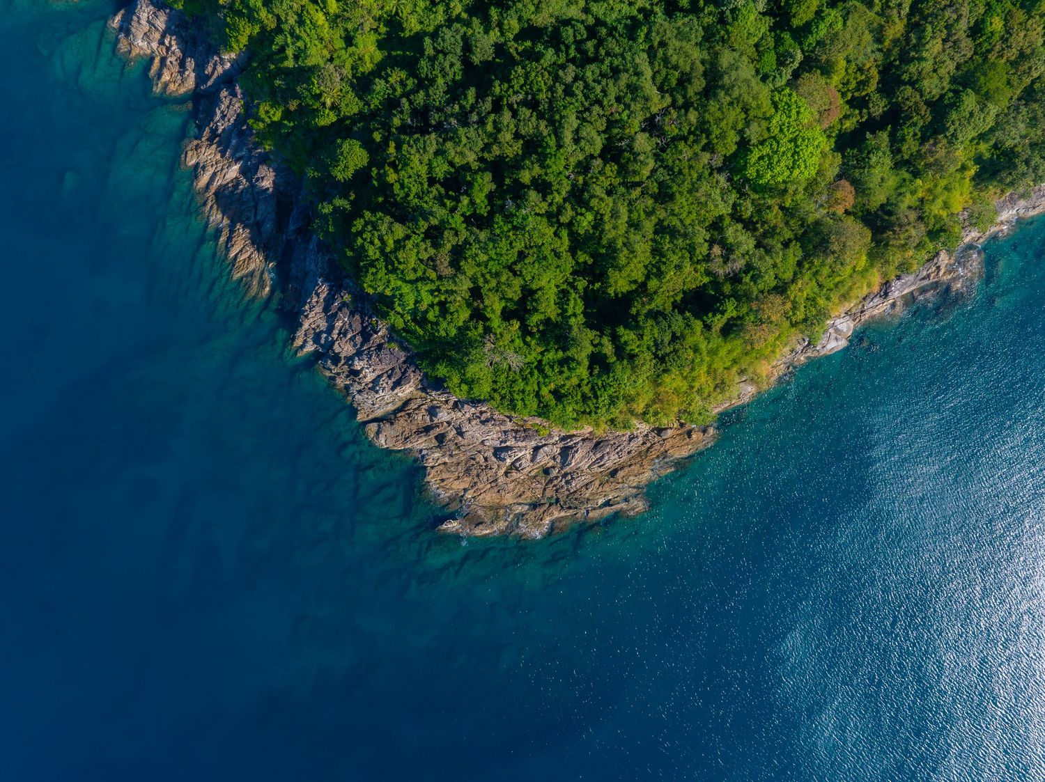 Aerial view of a rocky coastline with lush green forest meeting turquoise blue ocean waters.