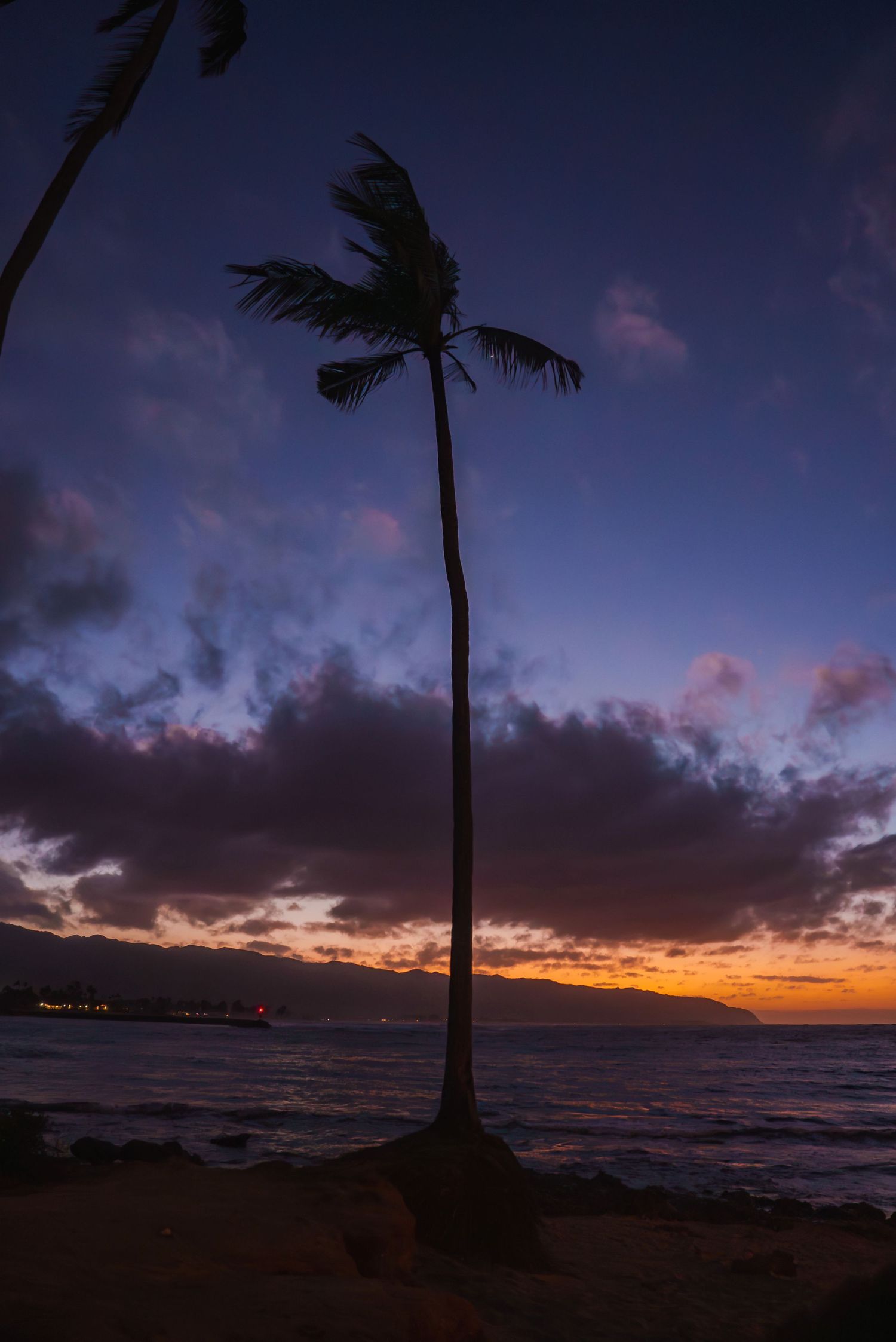 Tropical beach sunset with palm trees silhouetted against a dramatic purple and orange sky.