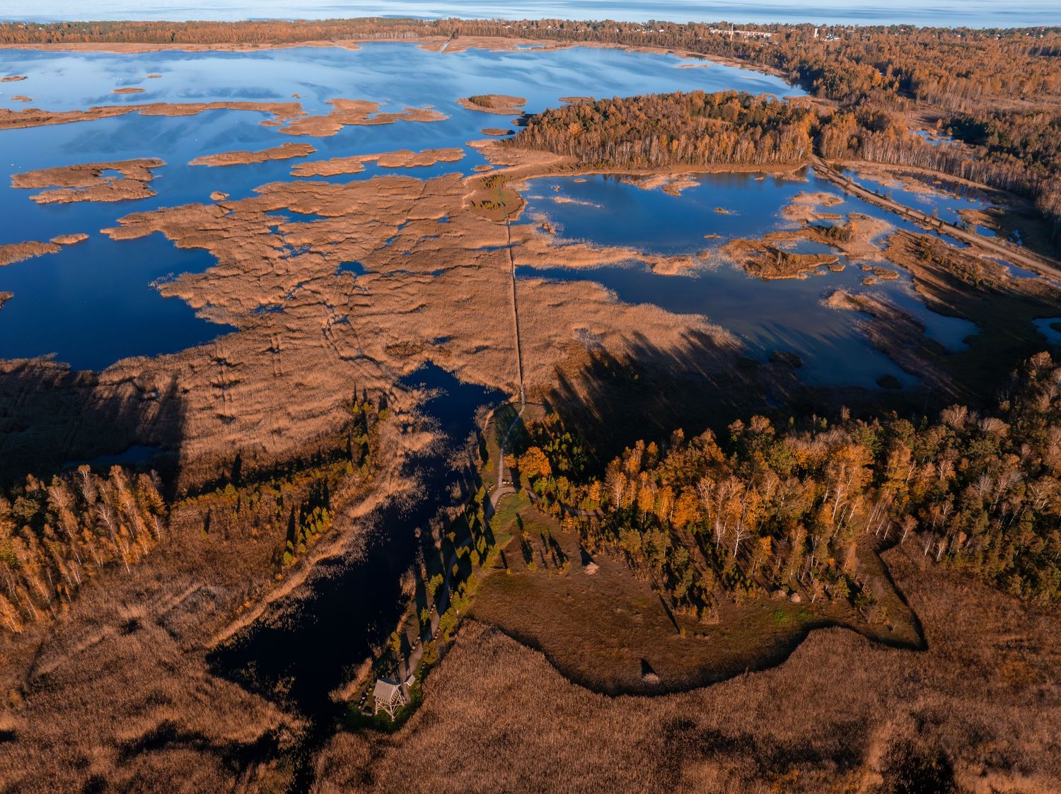 Autumn aerial view of winding waterways through orange-hued forest and wetlands.