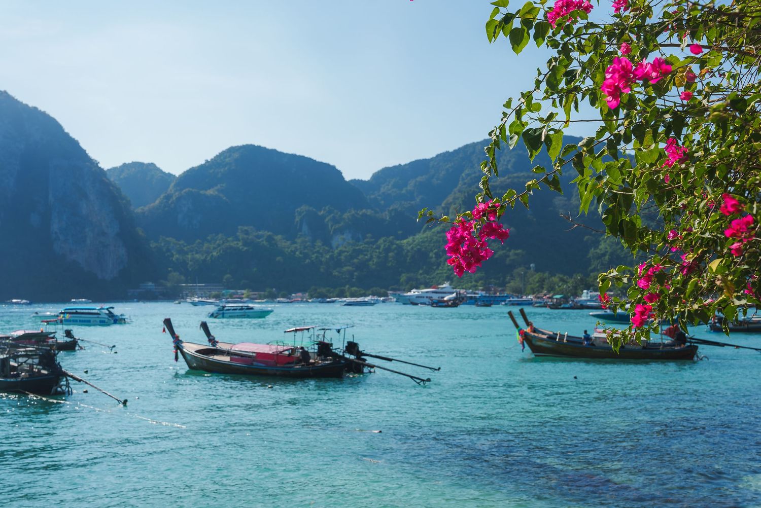 Scenic view of traditional longtail boats in turquoise waters surrounded by limestone cliffs and red flowers in Thailand.