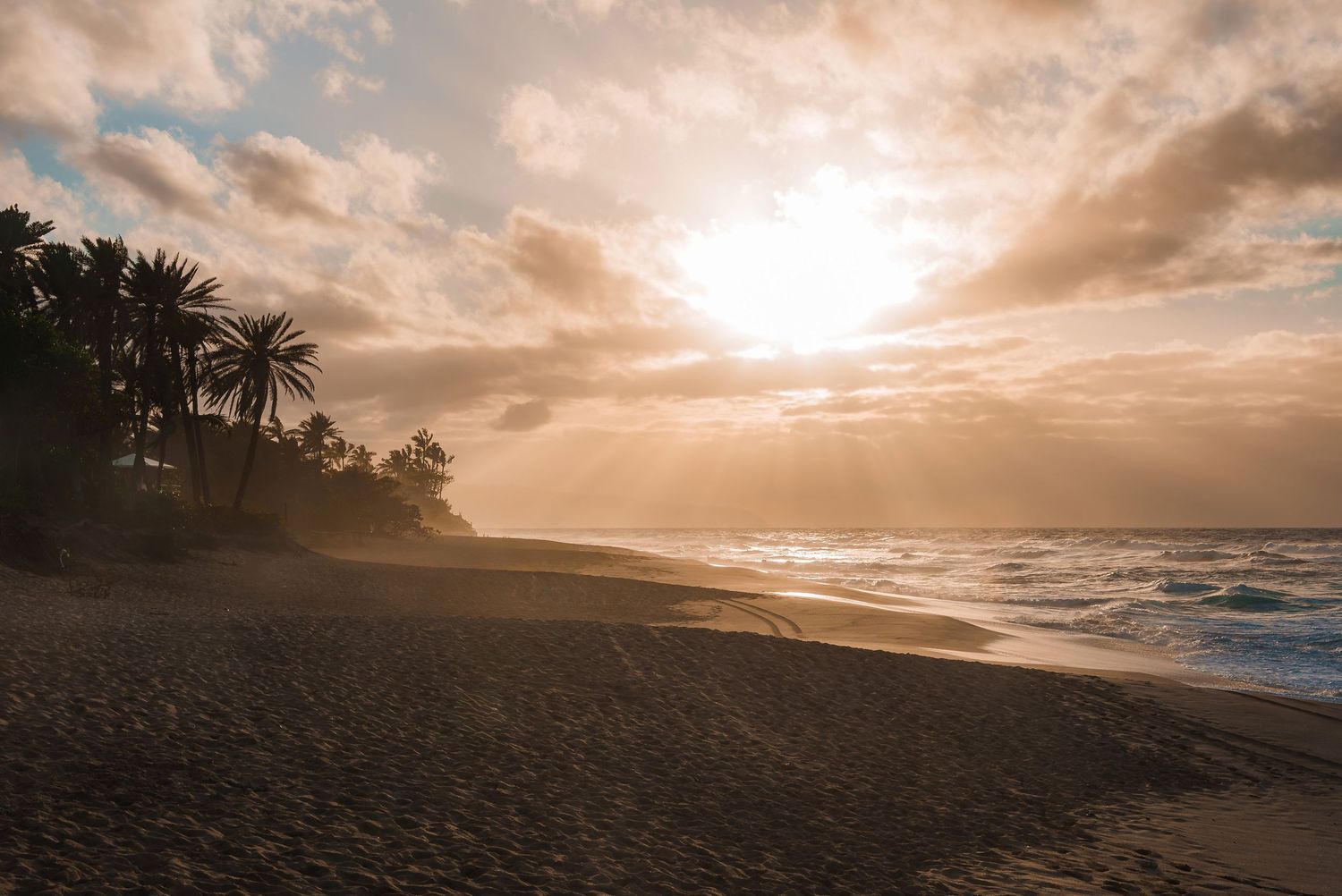 Dramatic sunset over a tropical beach with palm trees silhouetted against orange sky.