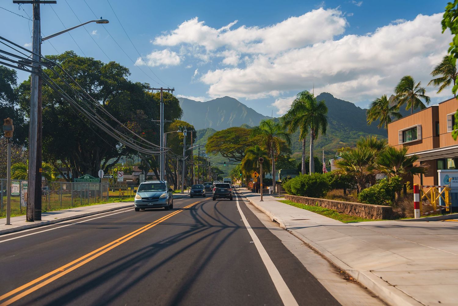 Mountain road stretching into distance with palm trees and blue sky.