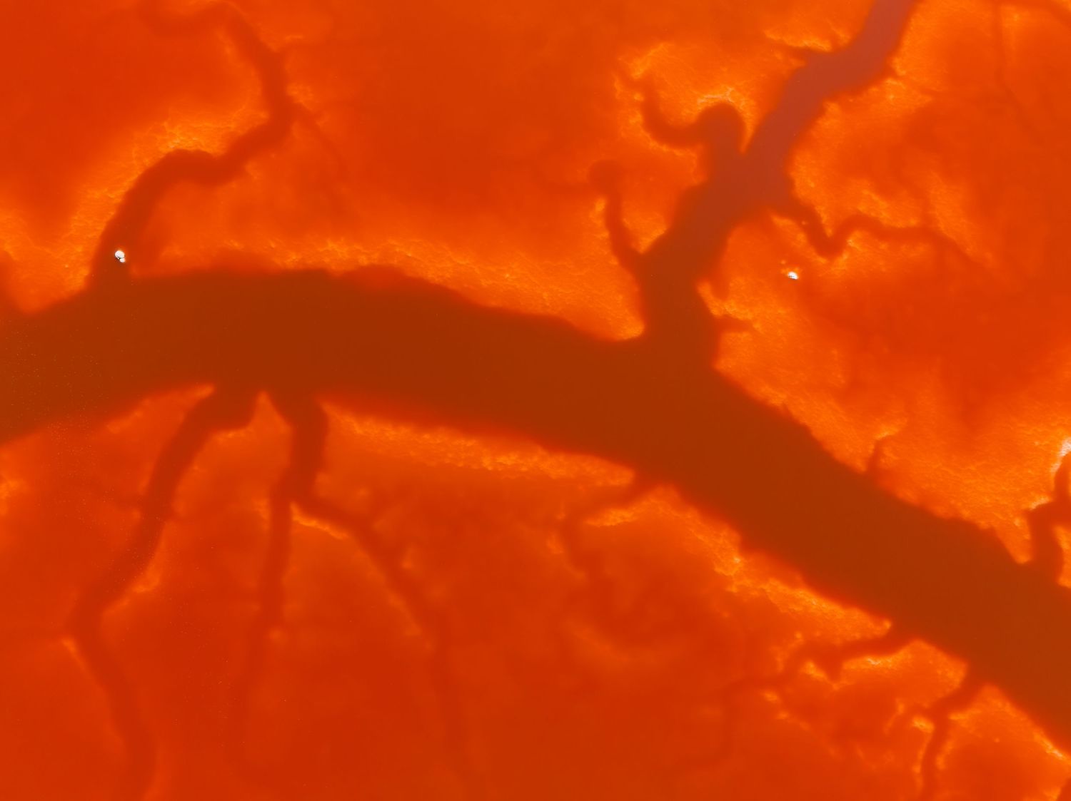Abstract orange and red fluid patterns creating dynamic swirling textures.