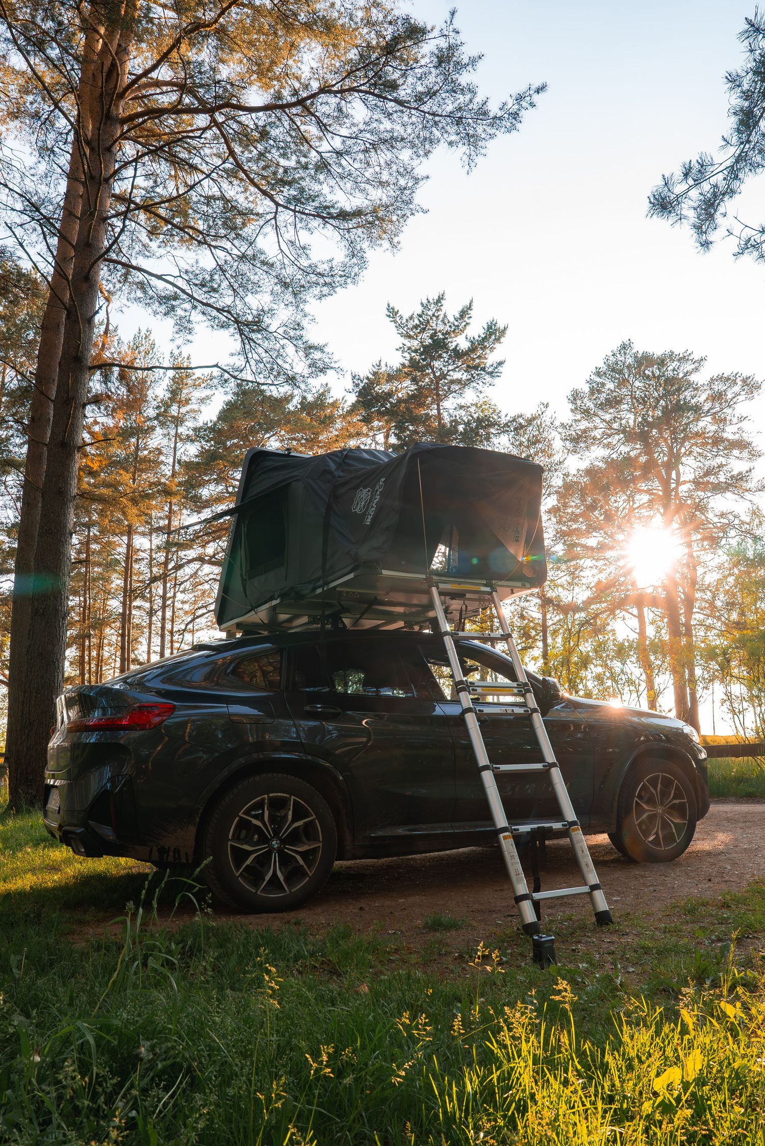 Car with rooftop camping tent photographed against sunlit pine trees.