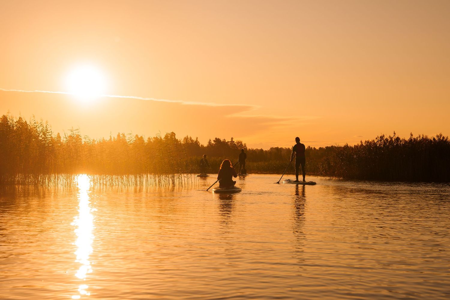 Silhouettes of paddleboarders on calm water during golden sunset.