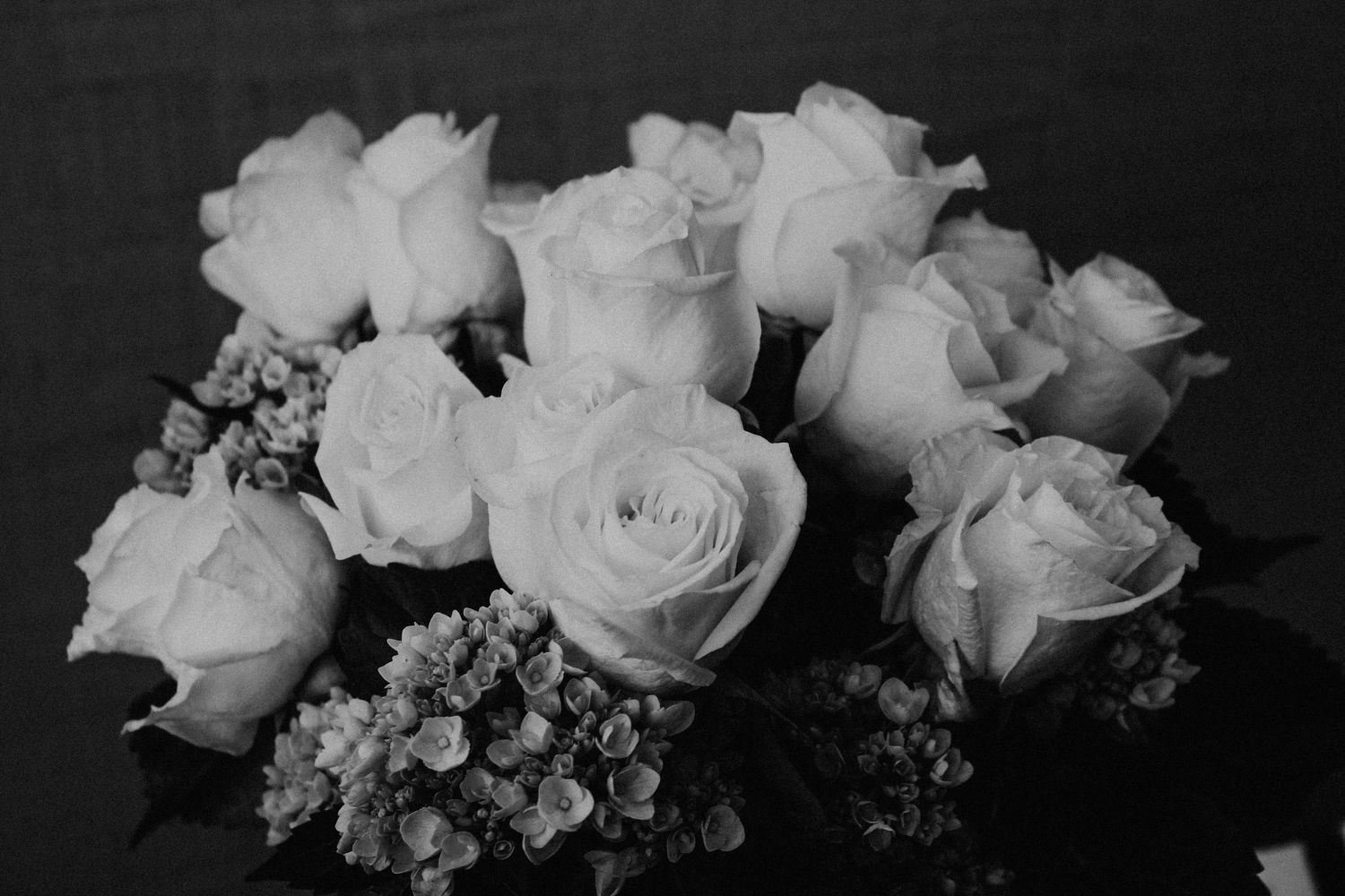 Black & white florals