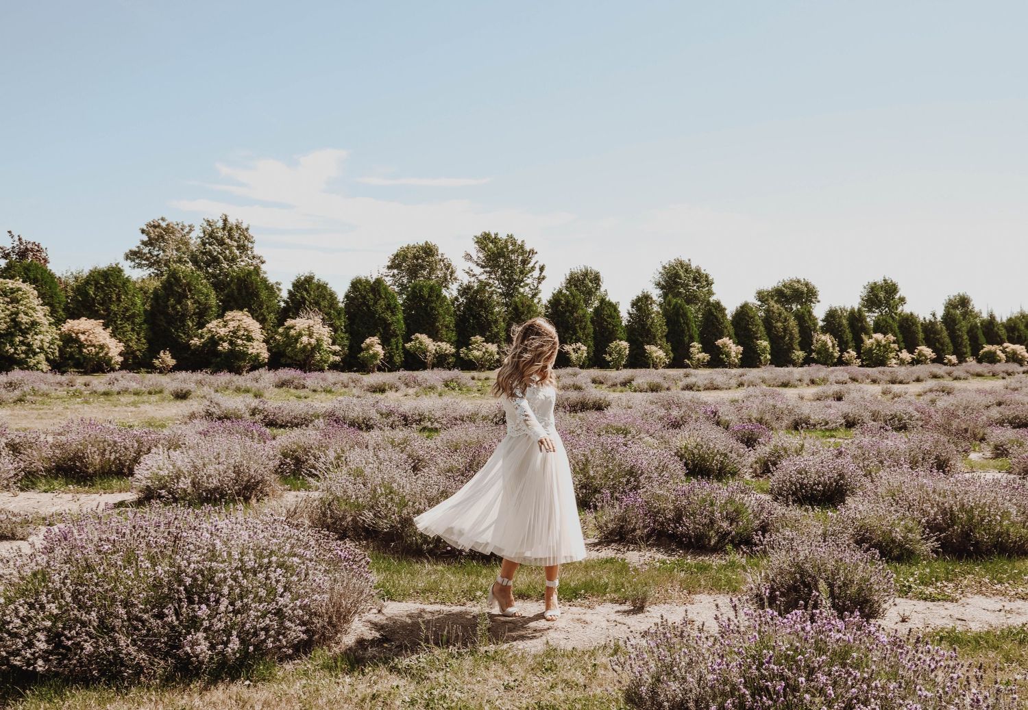 Bride in a lavender field