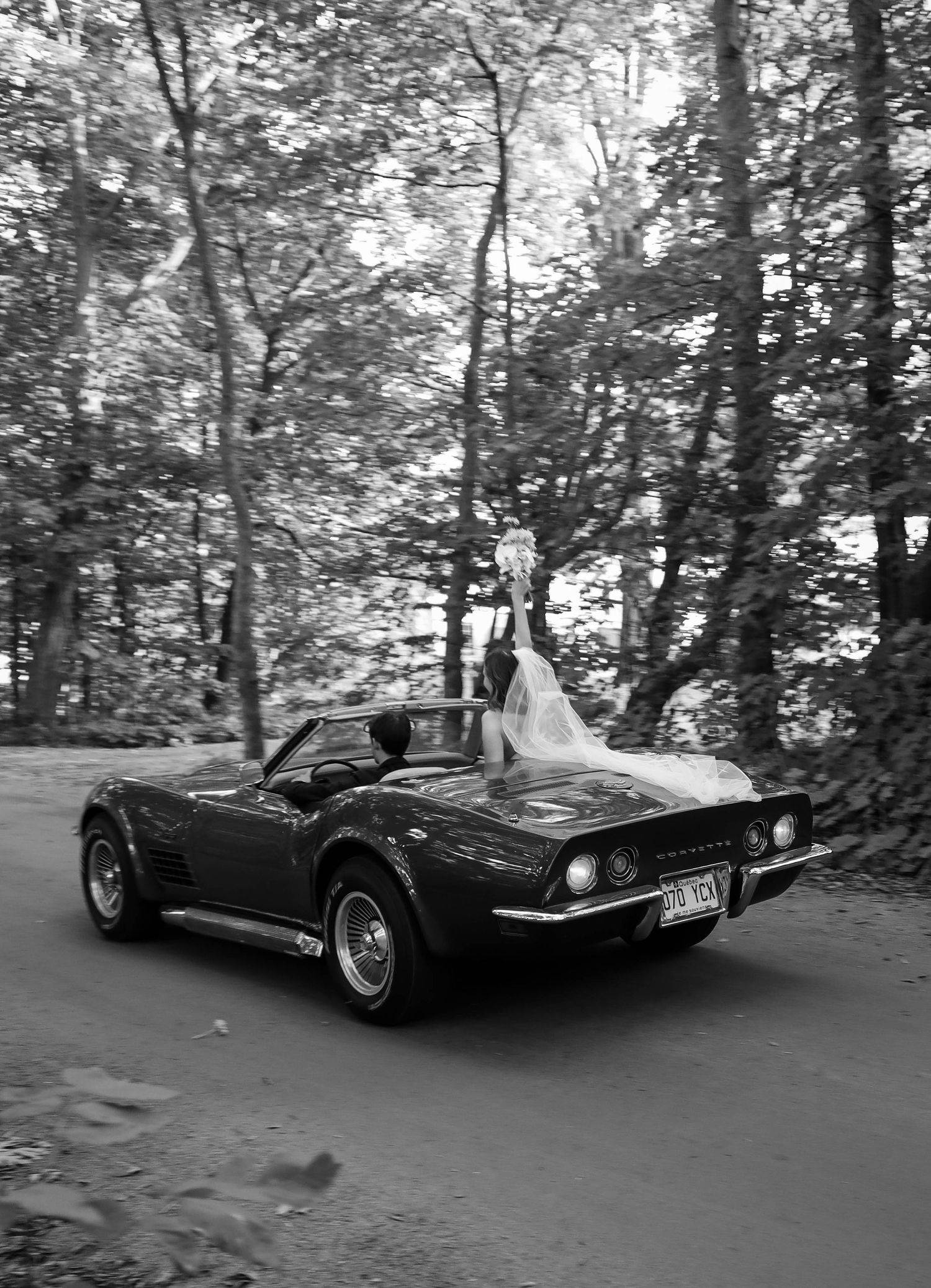 Black and white photo of bride standing in vintage Corvette convertible driving through tree-lined road.