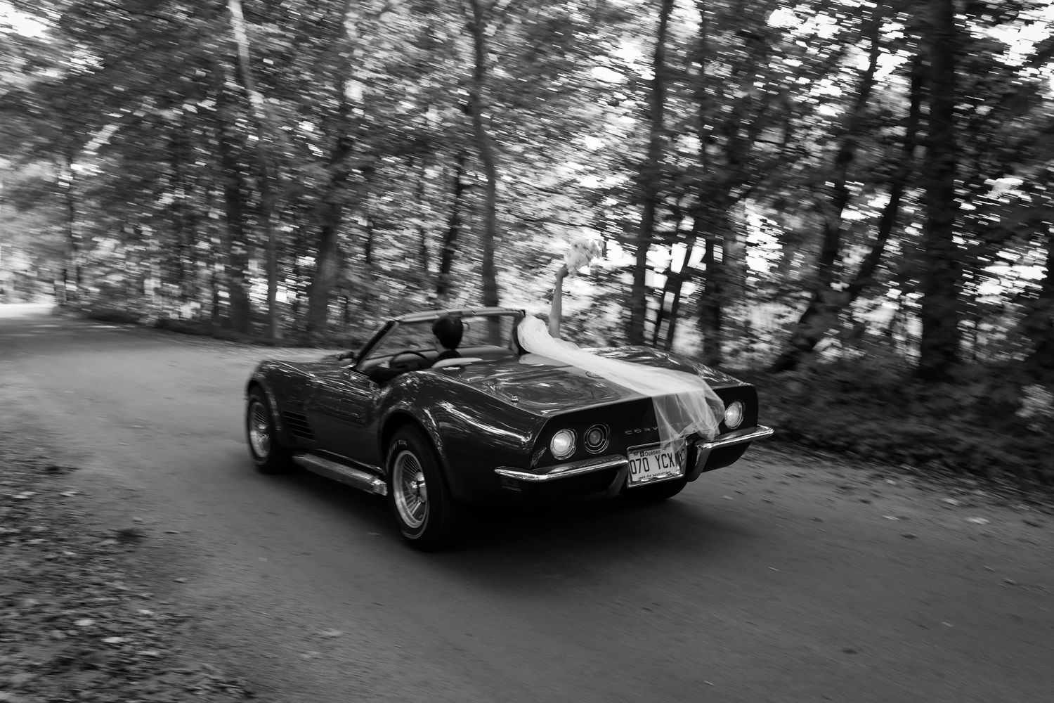 Black and white photo of classic Corvette convertible speeding down a tree-lined road on wedding day.