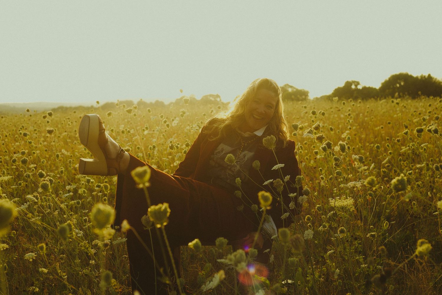 Golden field of wildflowers stretches into the distance under a warm summer sunset sky.