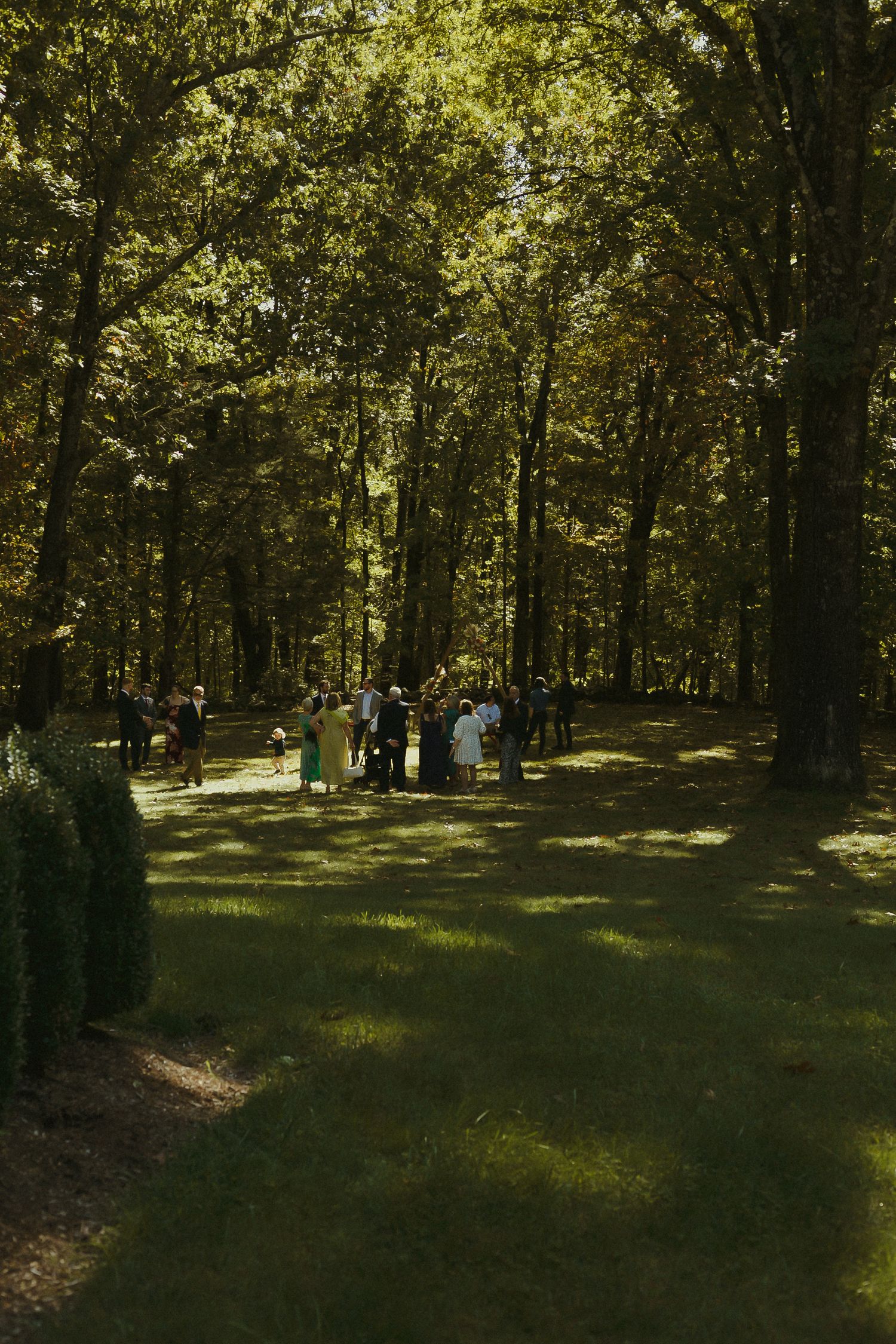 Air BNB Elopement