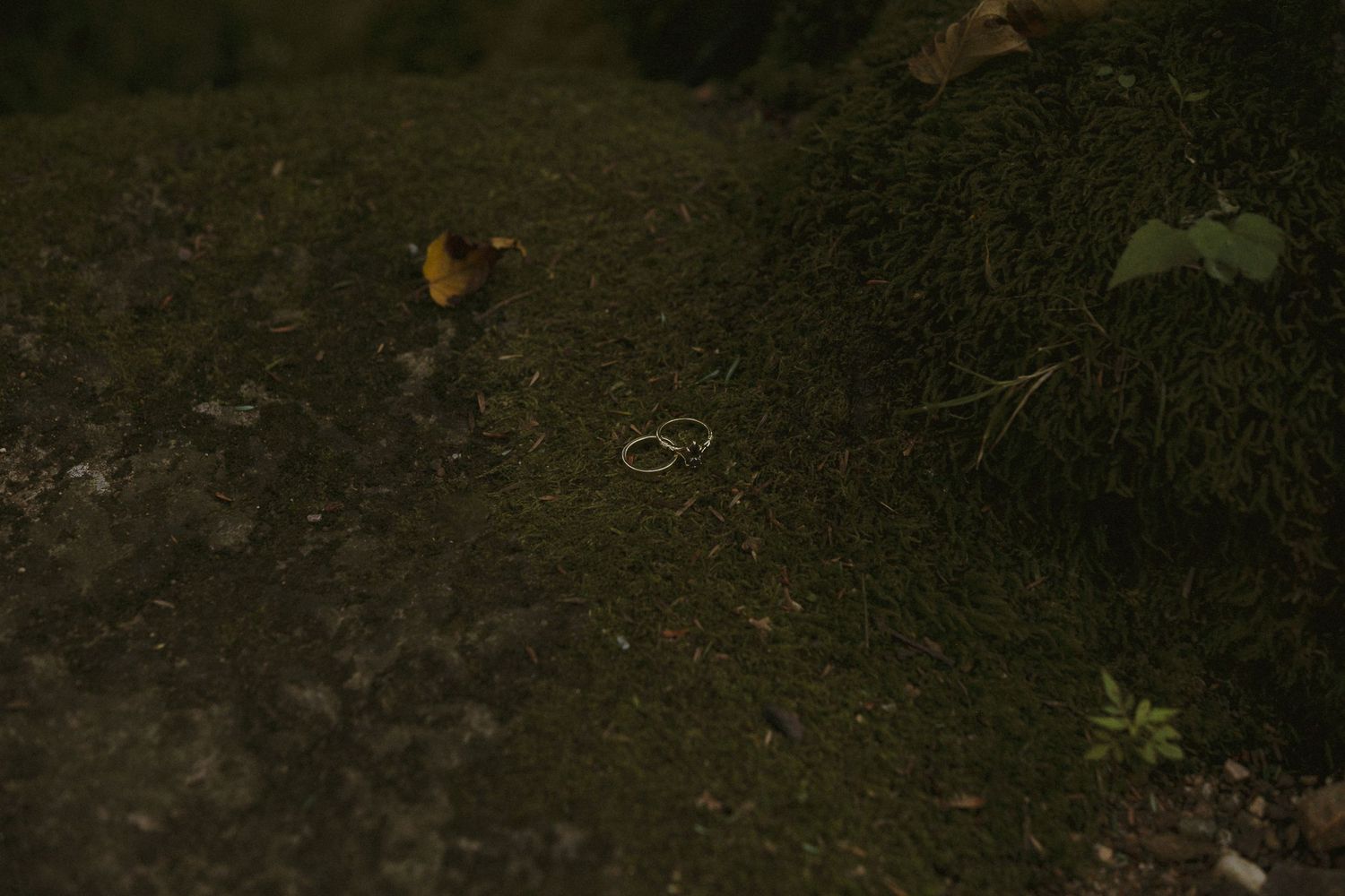 Two small rings resting on mossy ground surrounded by fallen leaves in a dark, moody outdoor setting.
