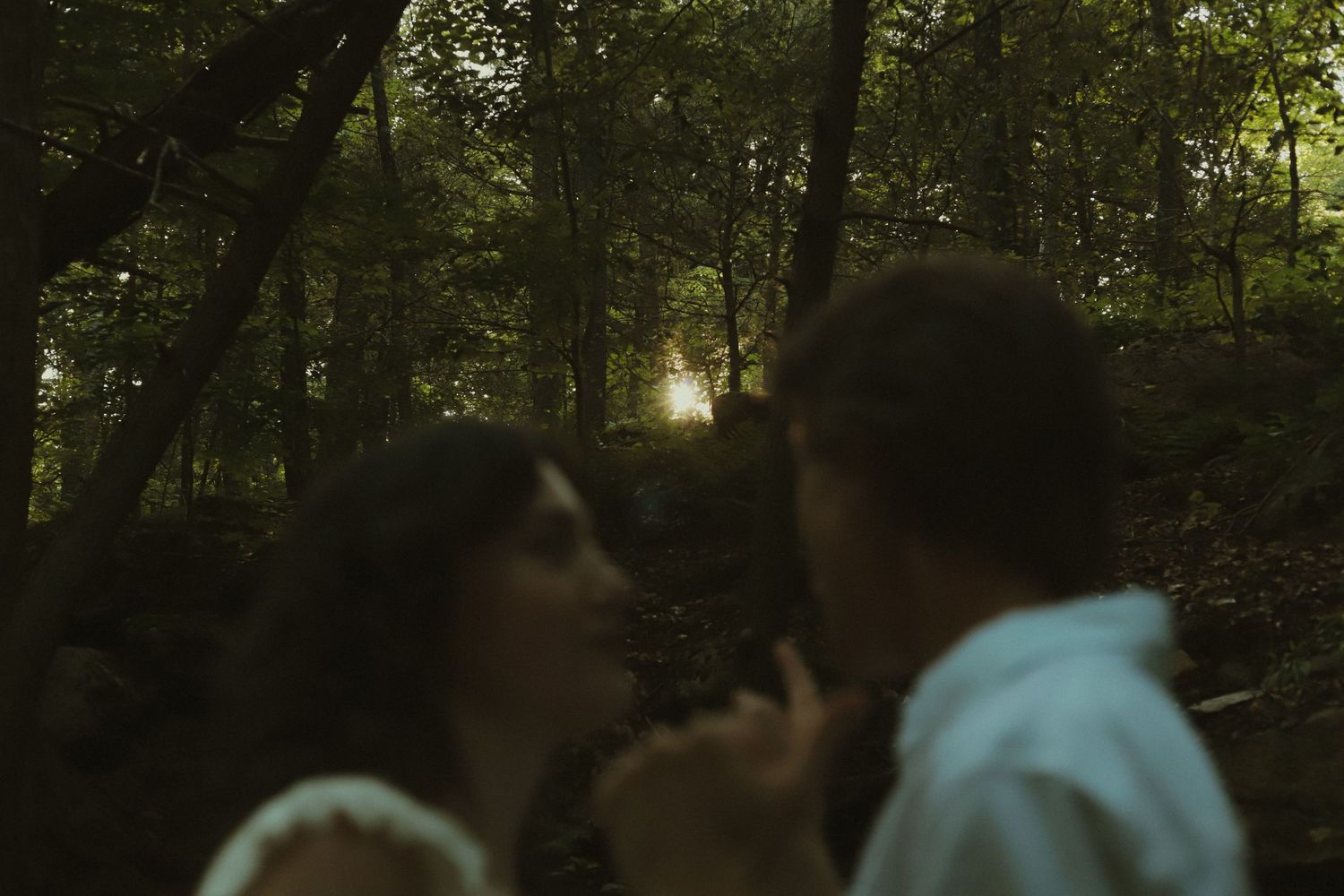 Couple sharing a romantic moment in a sunlit forest with golden light glowing through lush green trees at sunset.