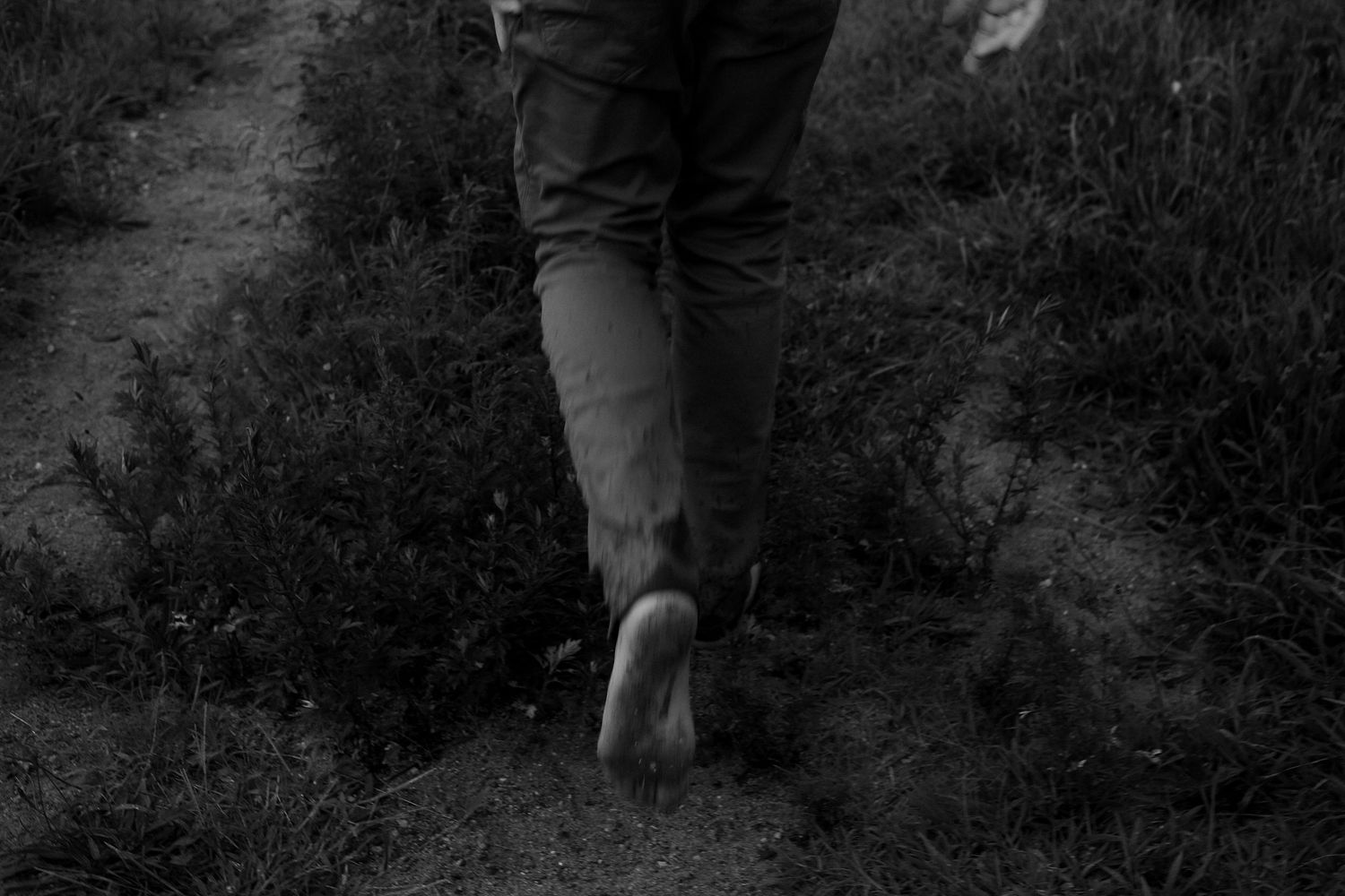 Summer Engagement