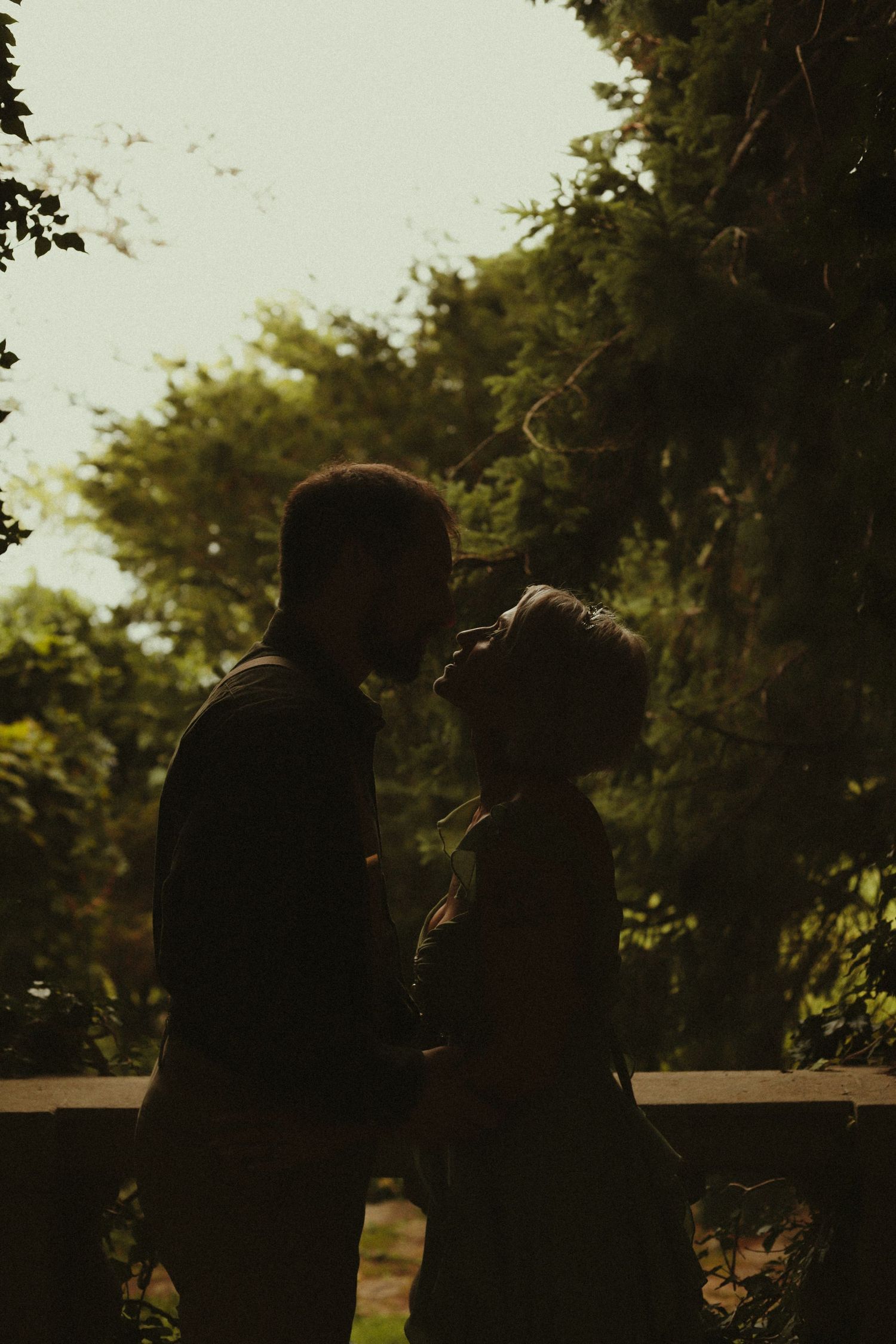 Romantic silhouette of a couple sharing a kiss outdoors, framed by lush green trees in soft natural light.
