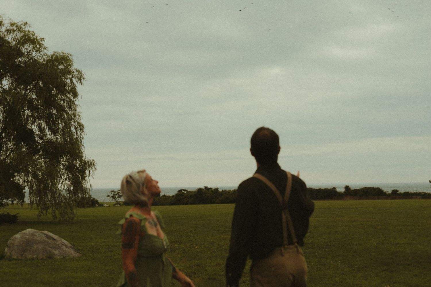 A couple stands in a green field gazing at the sky near a willow tree and ocean horizon.