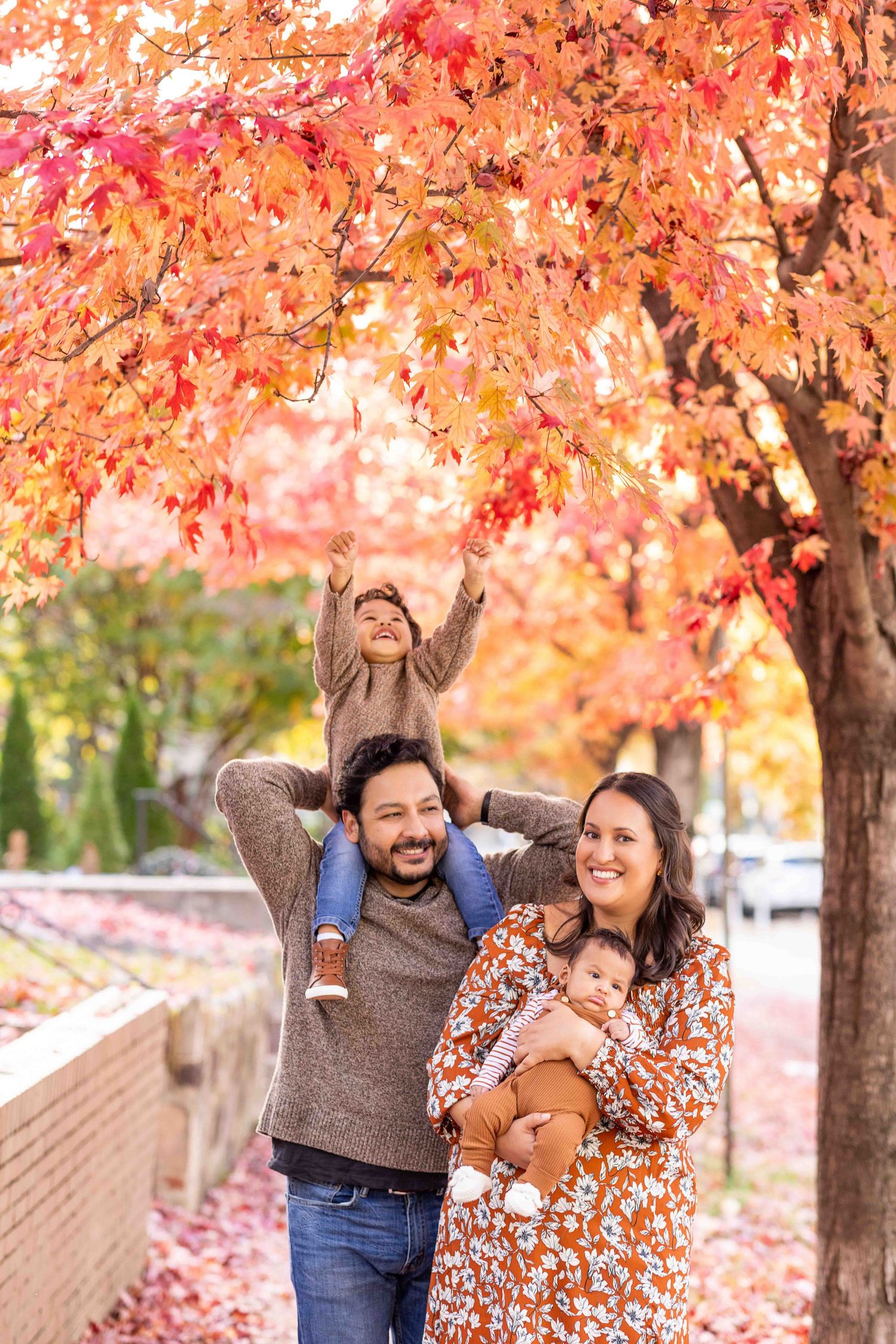 Family of four enjoying autumn foliage, toddler on dad's shoulders reaching for red leaves, mom holding baby.