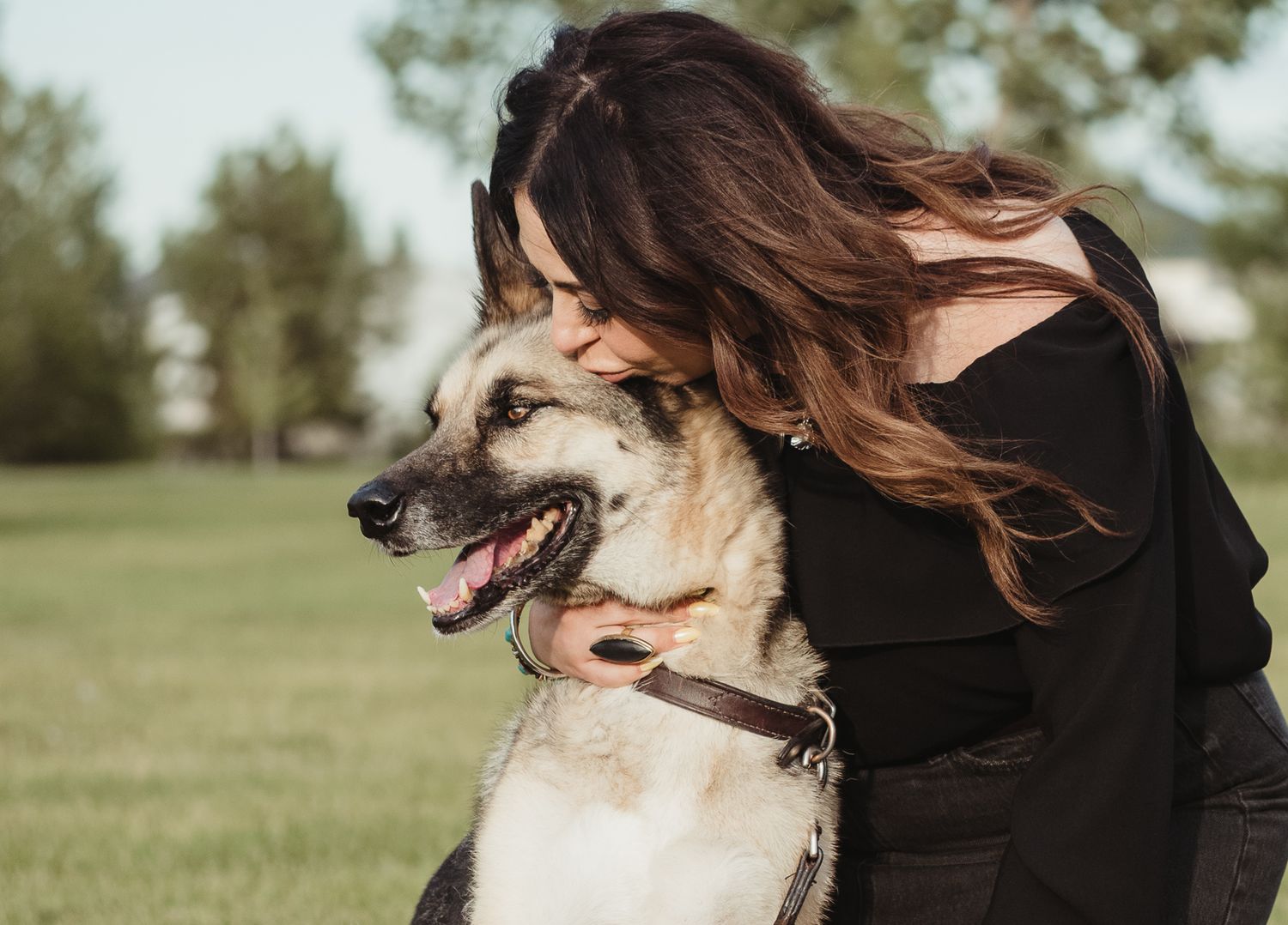 Rainbow Bridge portrait celebrating a lifetime of memories by Spruce Grove pet photographer coral konanz