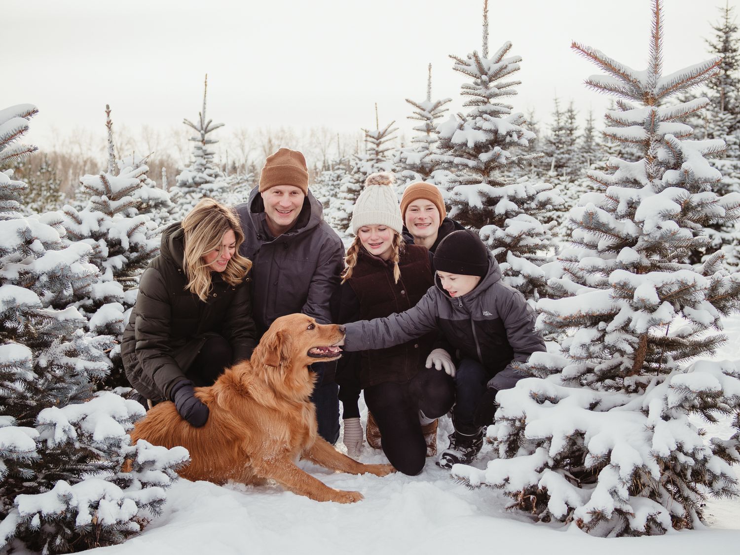 Family photography session at sunset in Spruce Grove, by Spruce Grove Family Photographer.