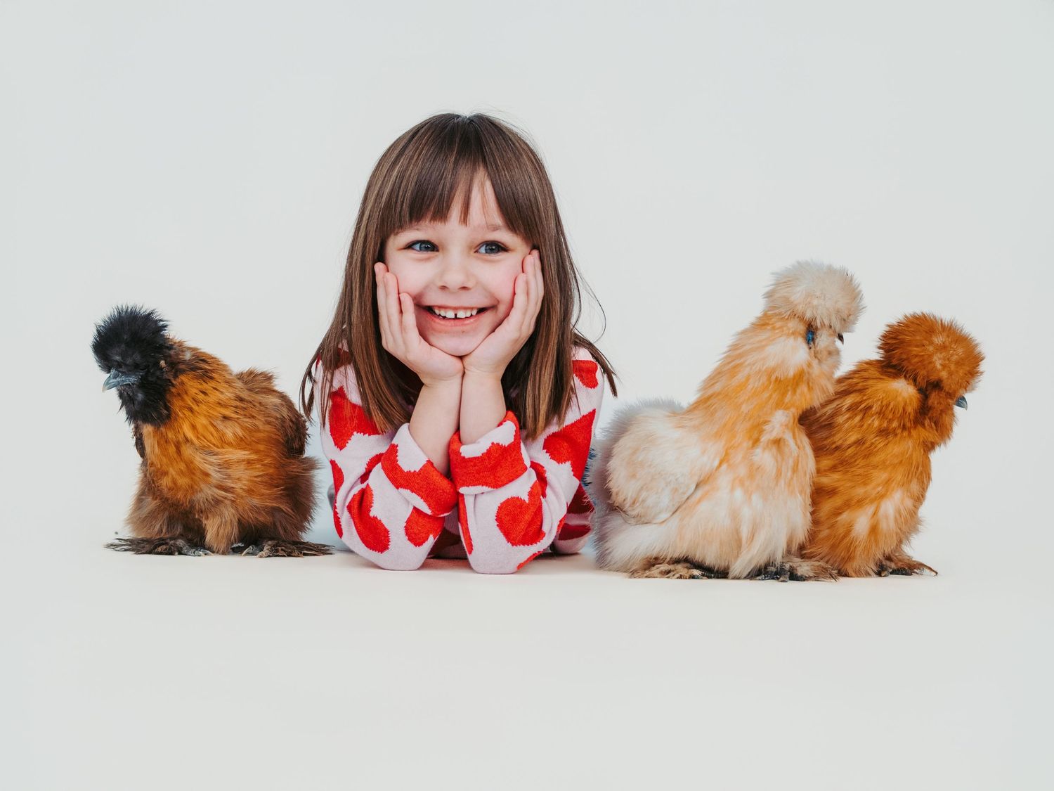 Edmonton pet photographer dog photography Stony Plain Spruce Grove Parkland County pet portraits studio outdoor sessions