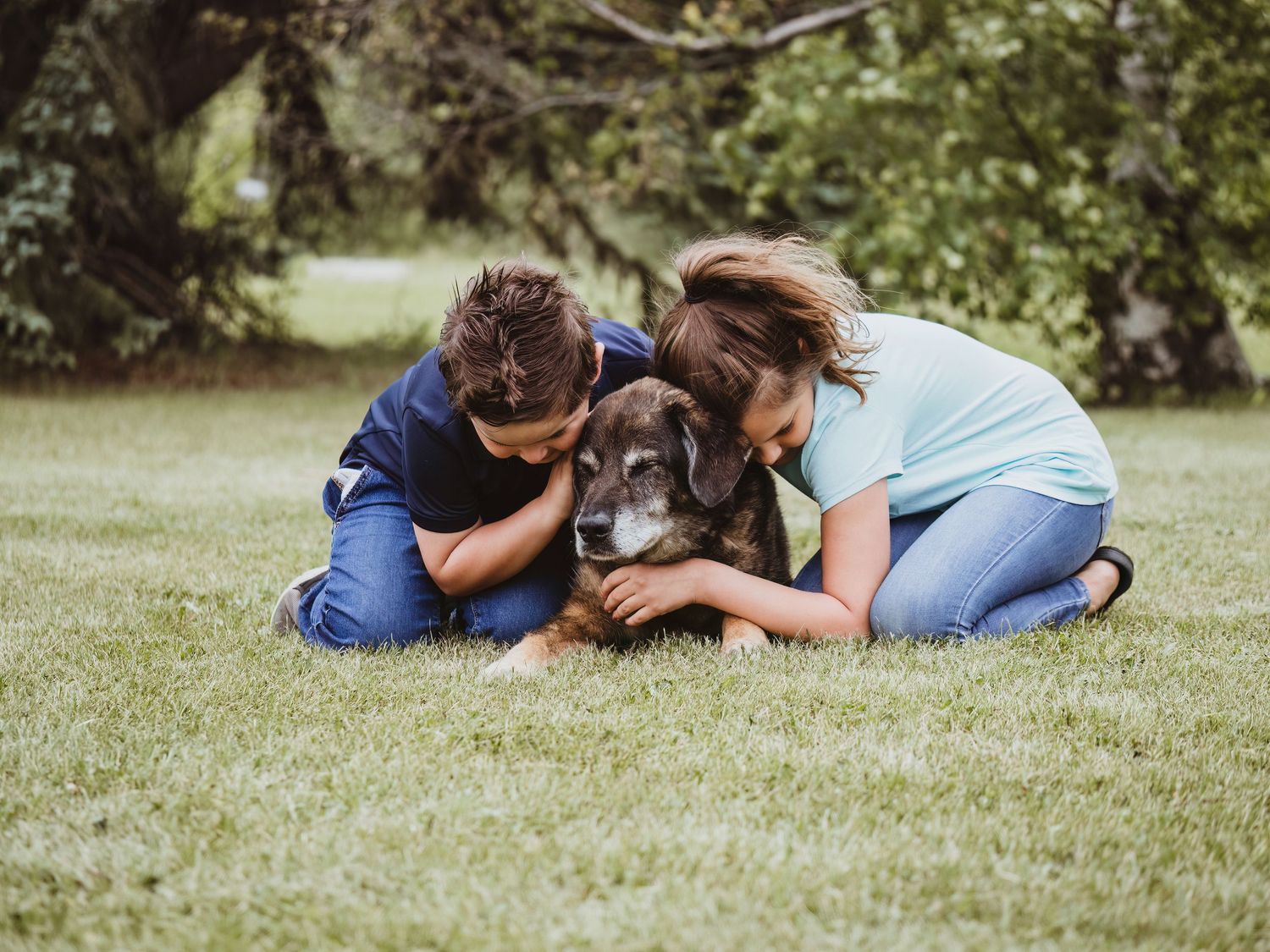 Rainbow Bridge portrait celebrating a lifetime of memories by Spruce Grove pet photographer coral konanz