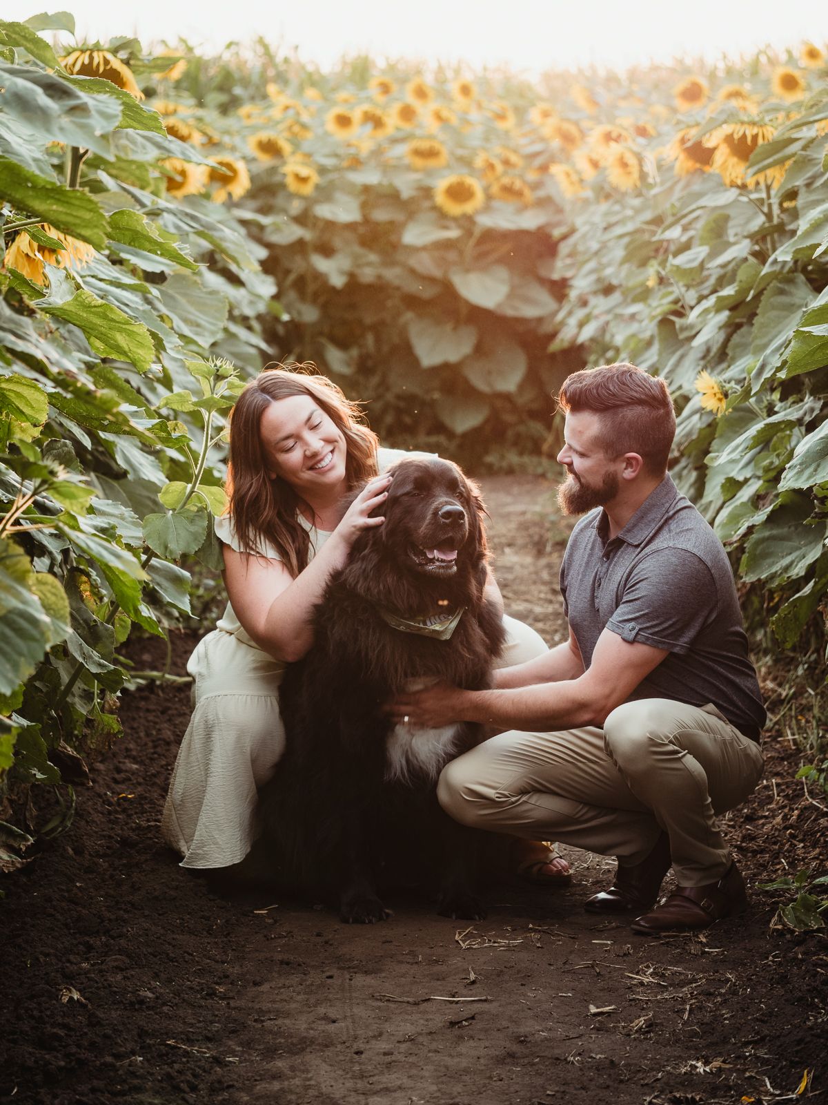 family photography session at Edmonton Corn Maze