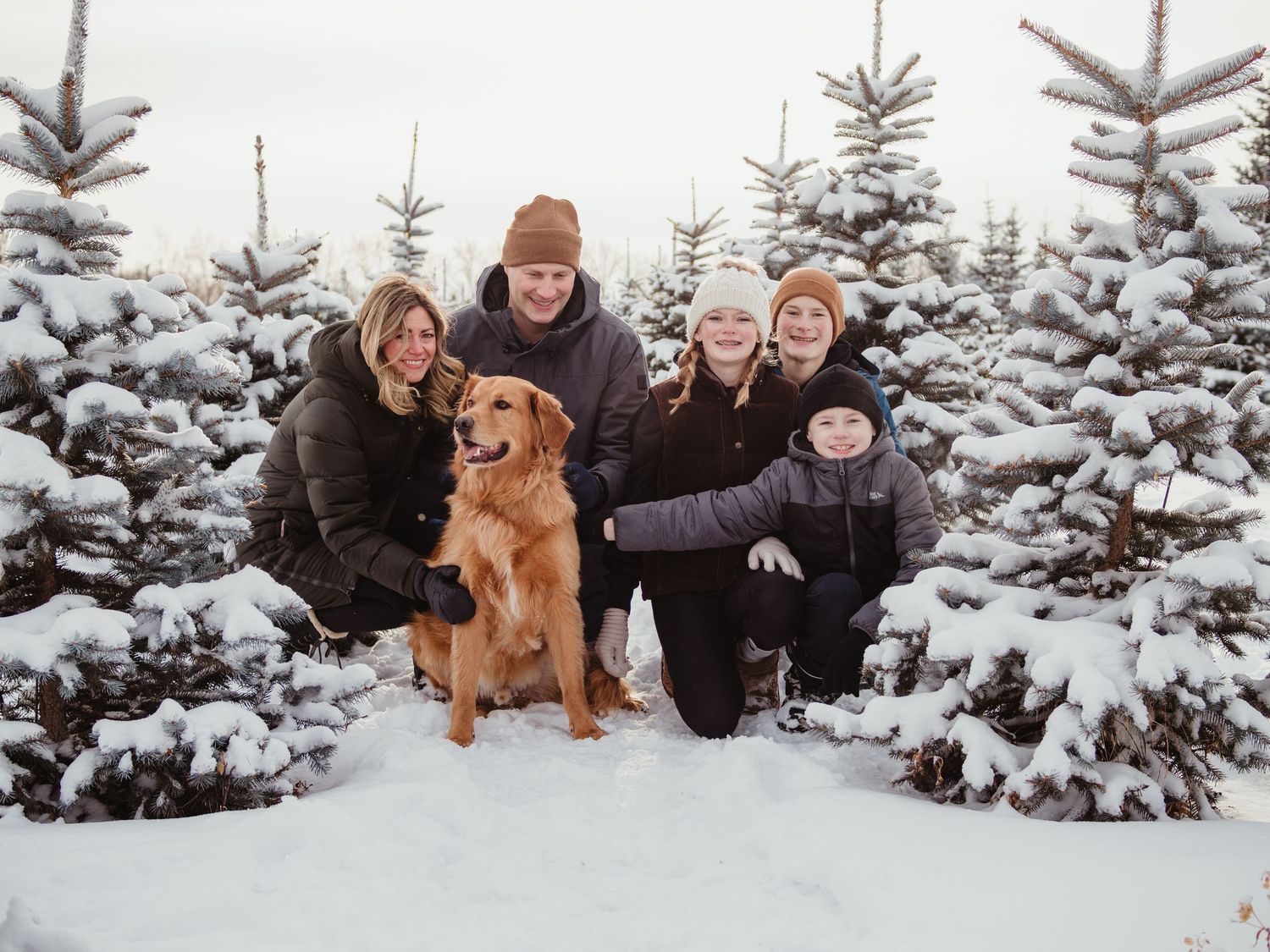 Spruce Grove and Stony Plain photographer capturing pets, families and boudoir sessions across the Edmonton area.