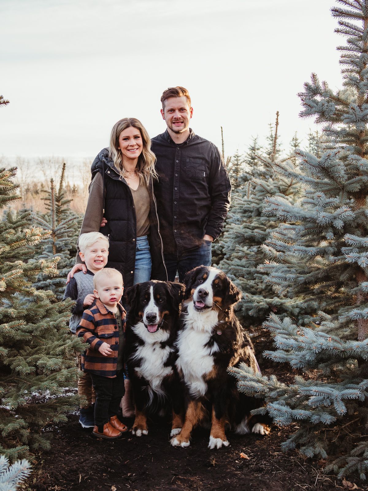 Family photography session at sunset in Spruce Grove, by Spruce Grove Family Photographer.