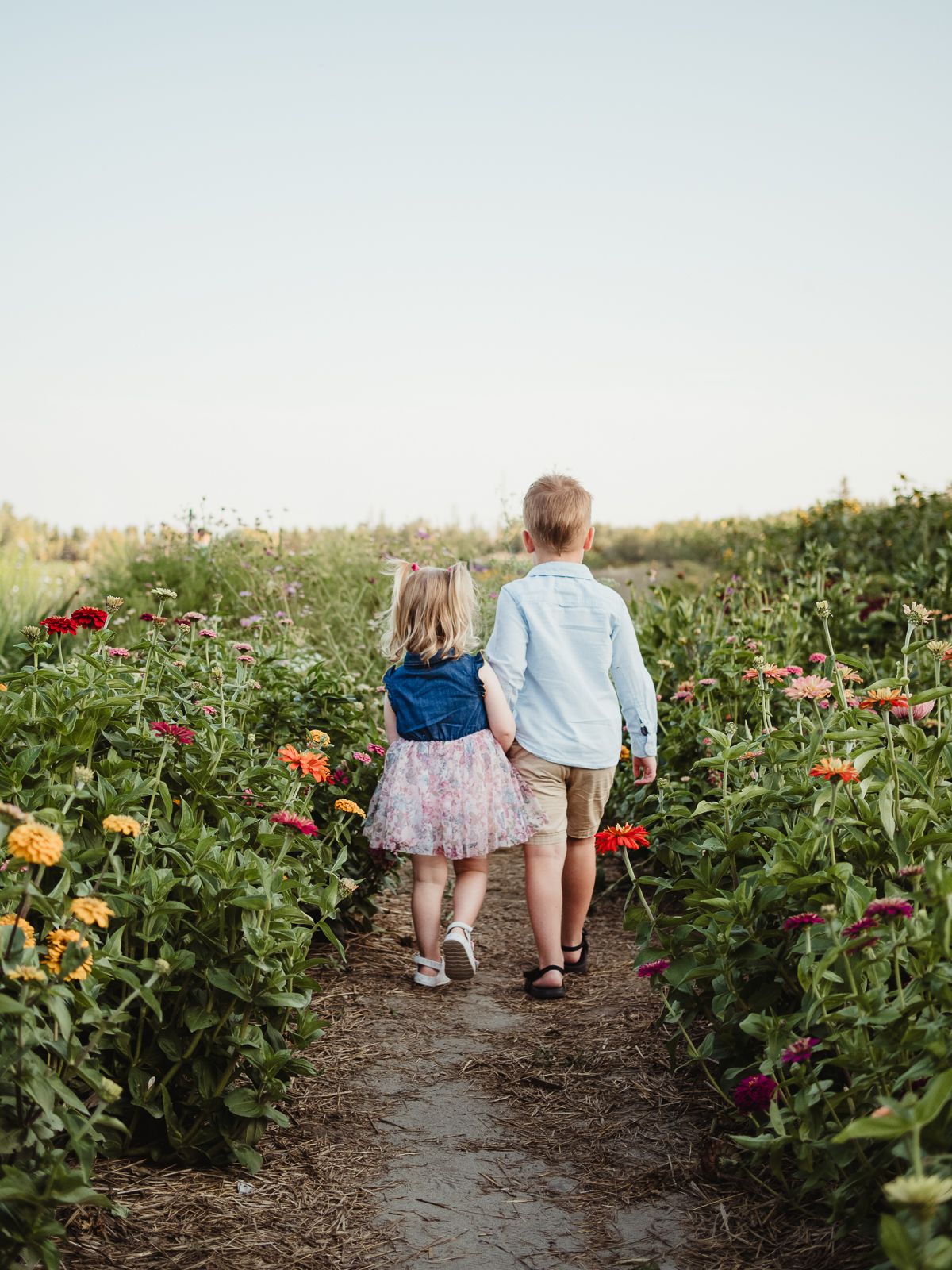 Spruce Grove and Stony Plain photographer capturing pets, families and boudoir sessions across the Edmonton area.