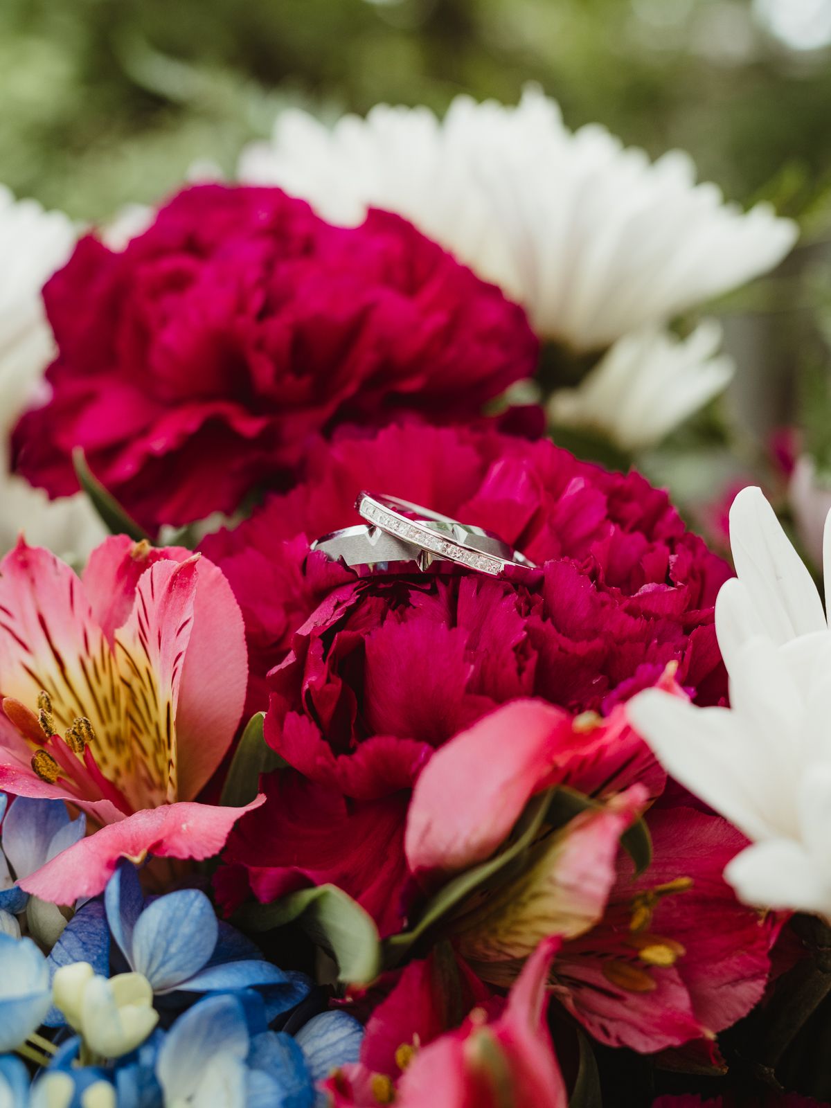 edmonton wedding photographer stony plain wedding photographer spruce grove wedding photographer alberta wedding photographer wedding photo