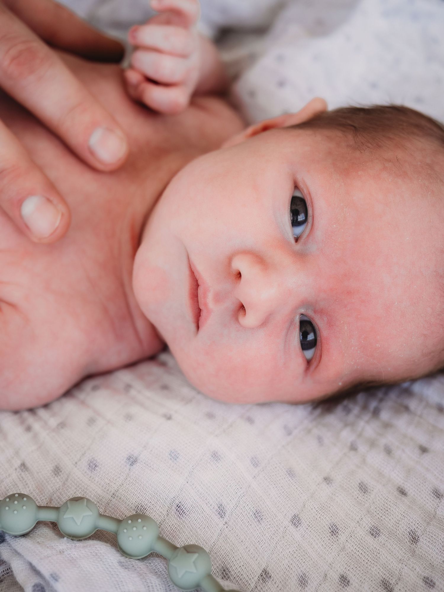Newborn photography with dog included in session